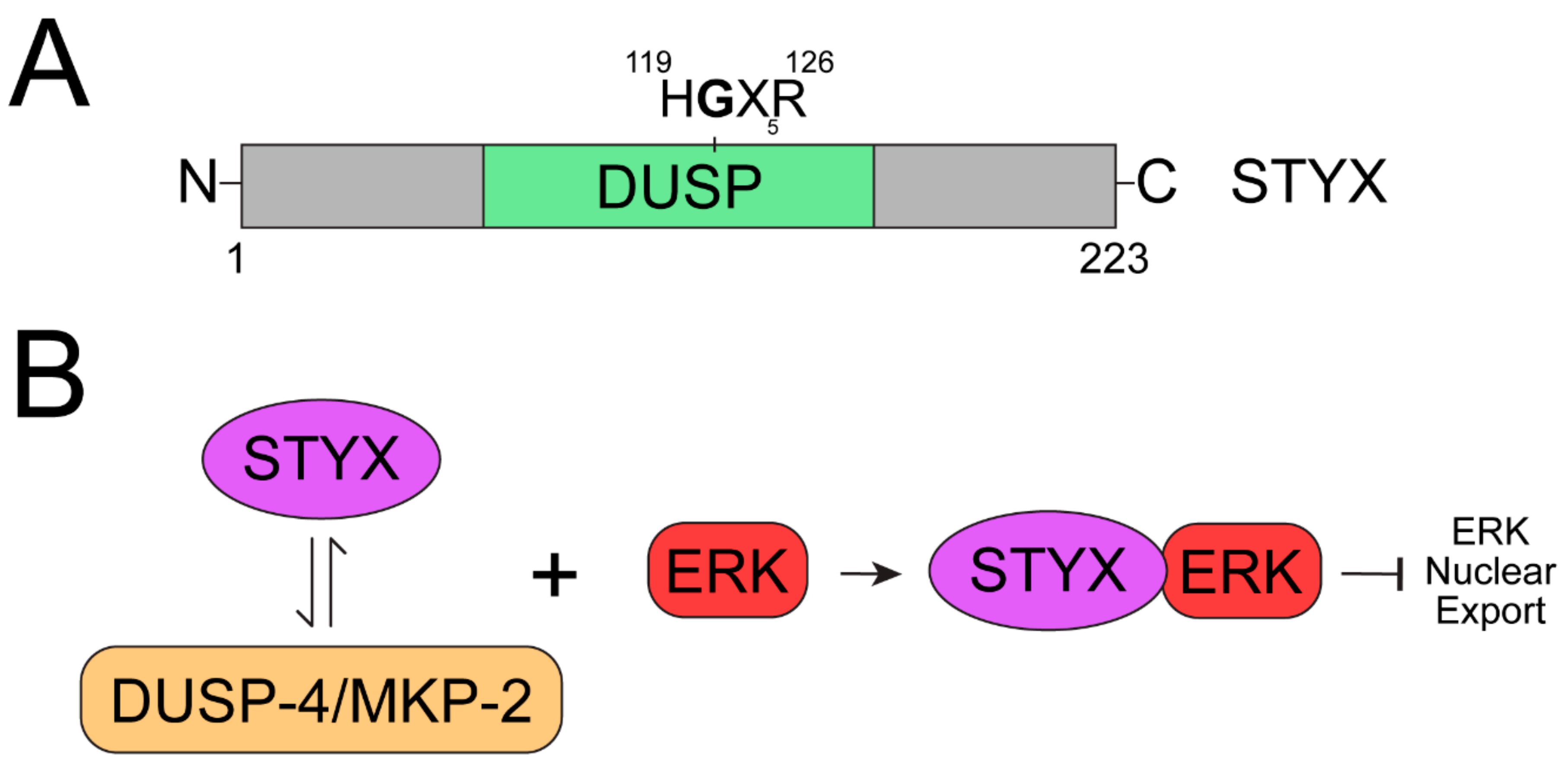 Ijms 22 12595 g004 550