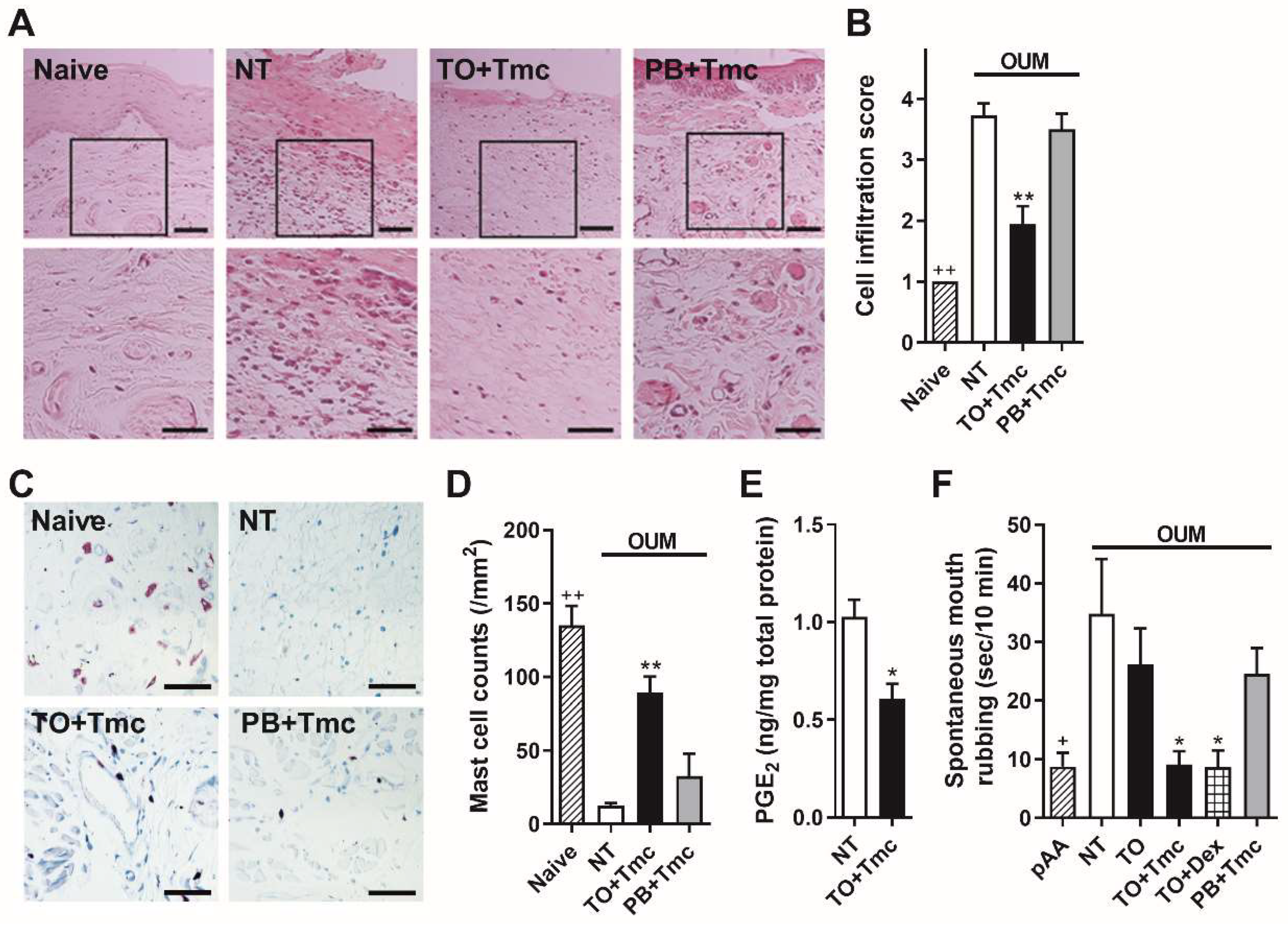 Ijms 22 12600 g002 550