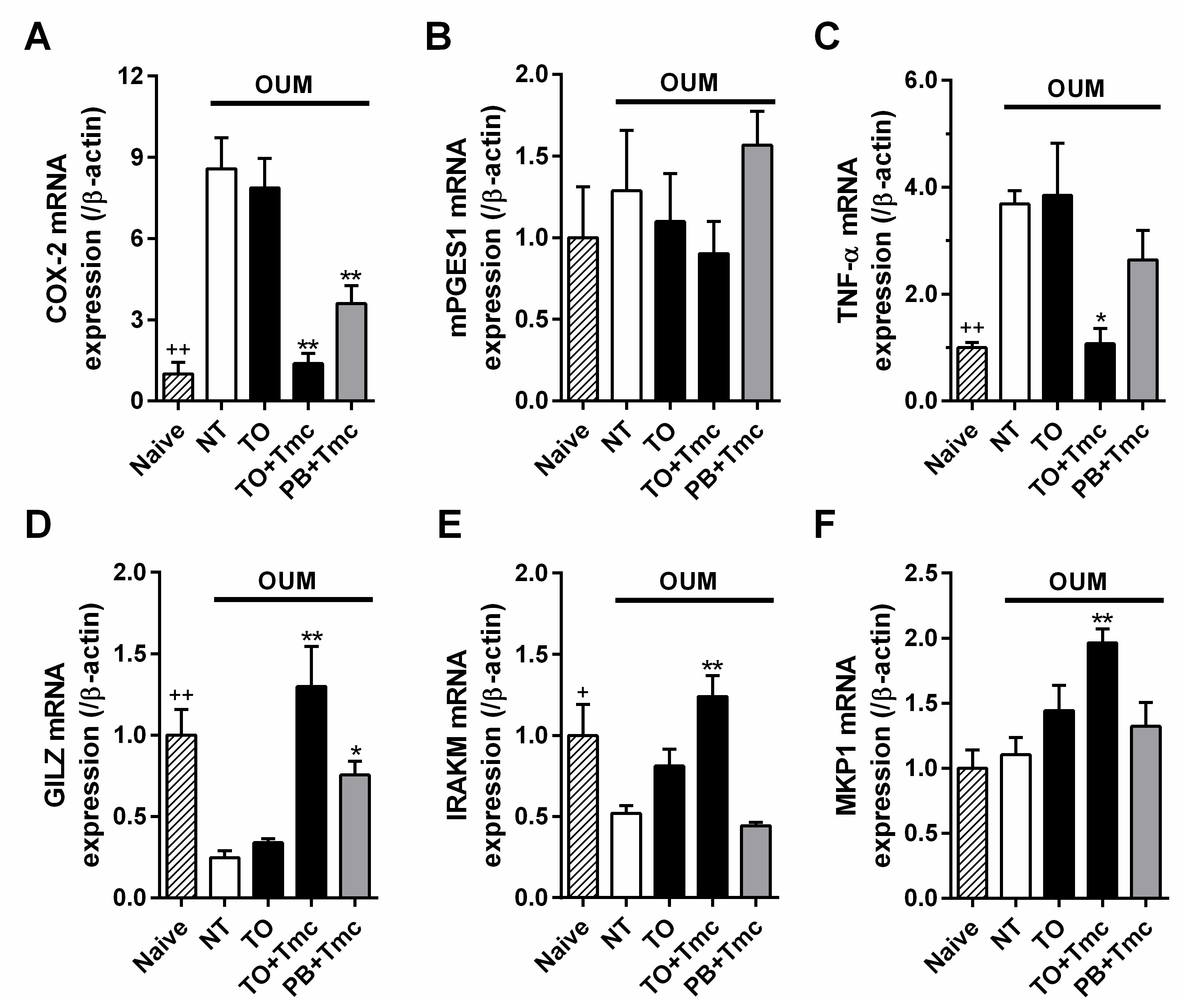 Ijms 22 12600 g003 550