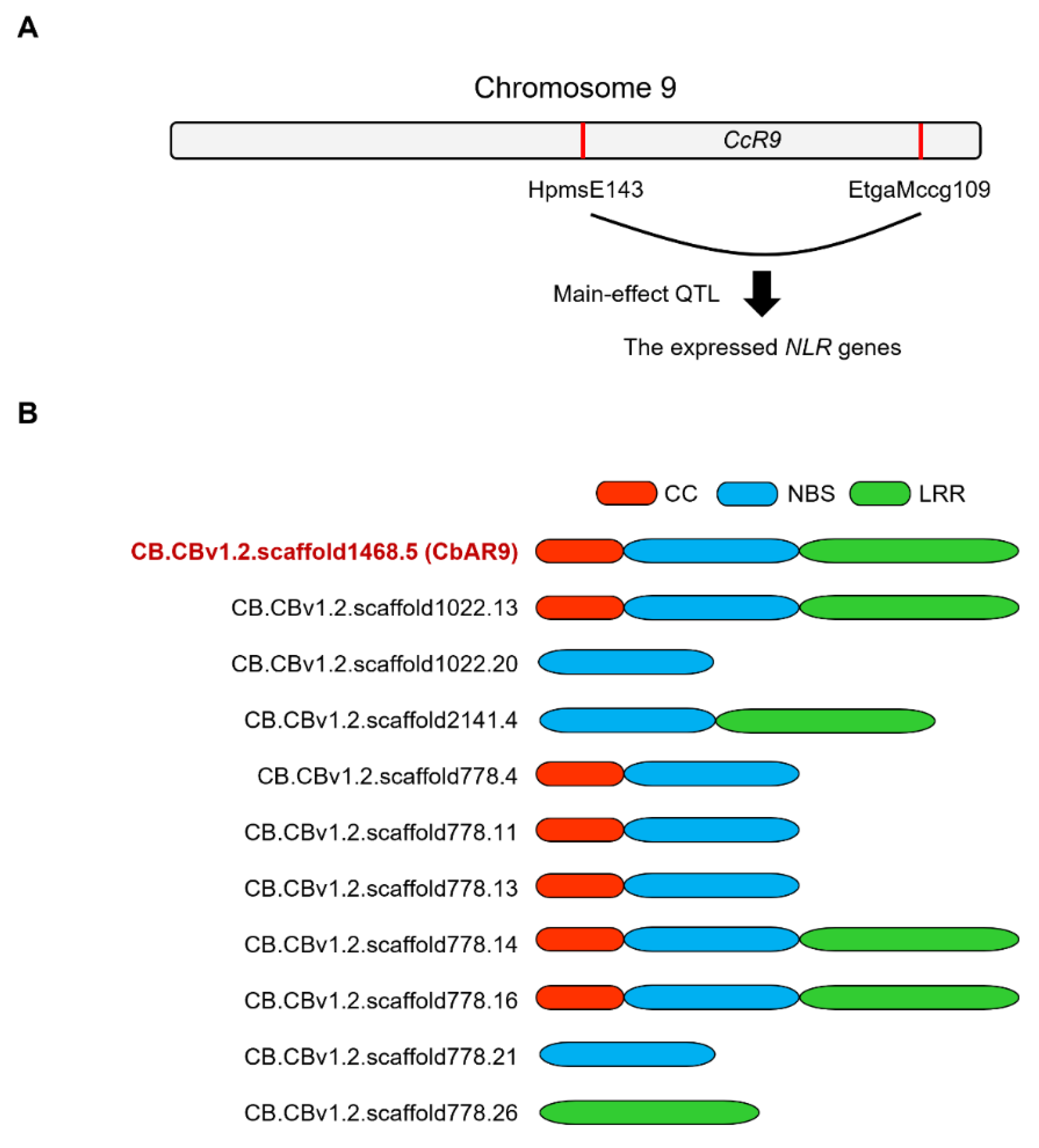 Ijms 22 12612 g001 550