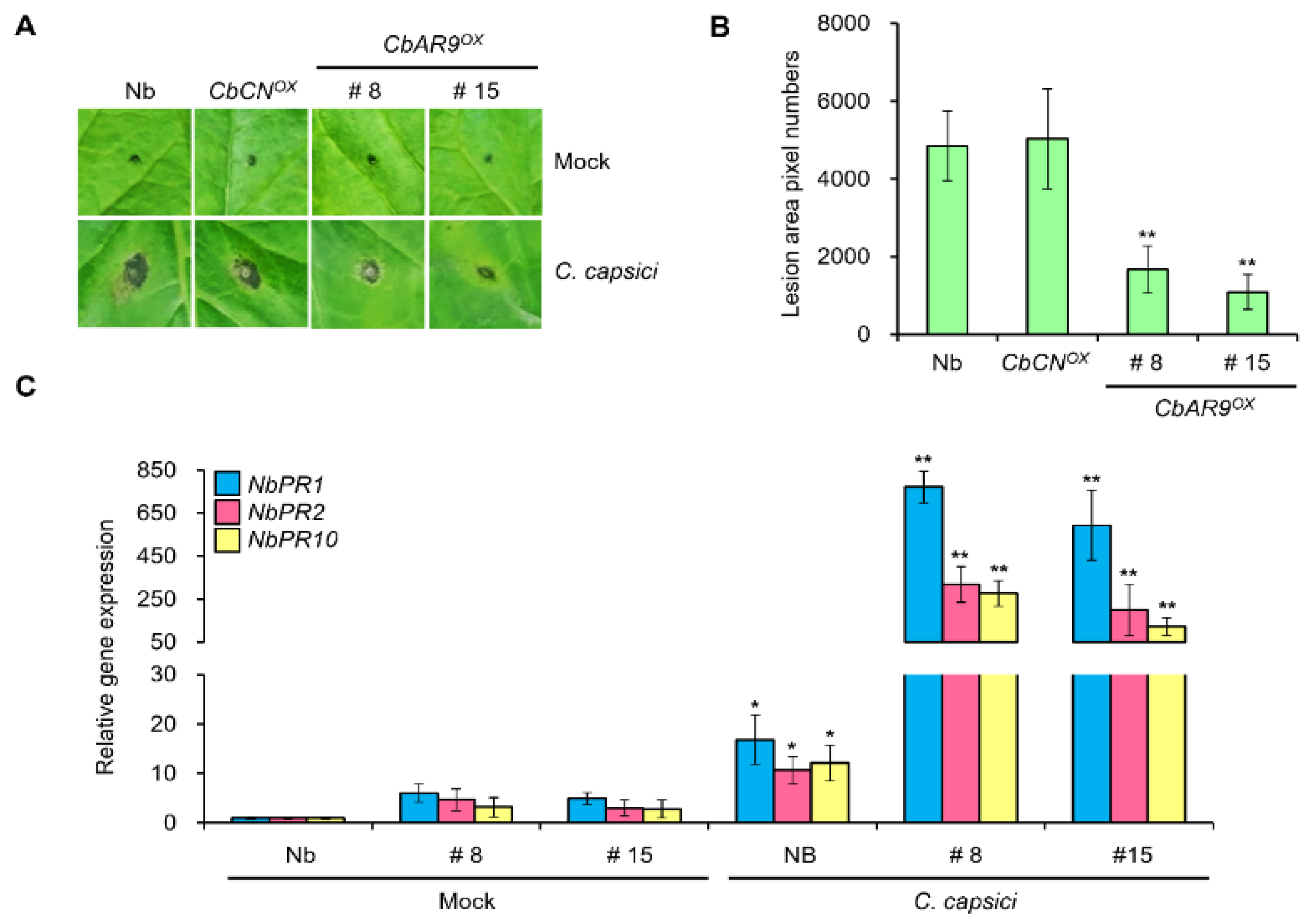 Ijms 22 12612 g003 550
