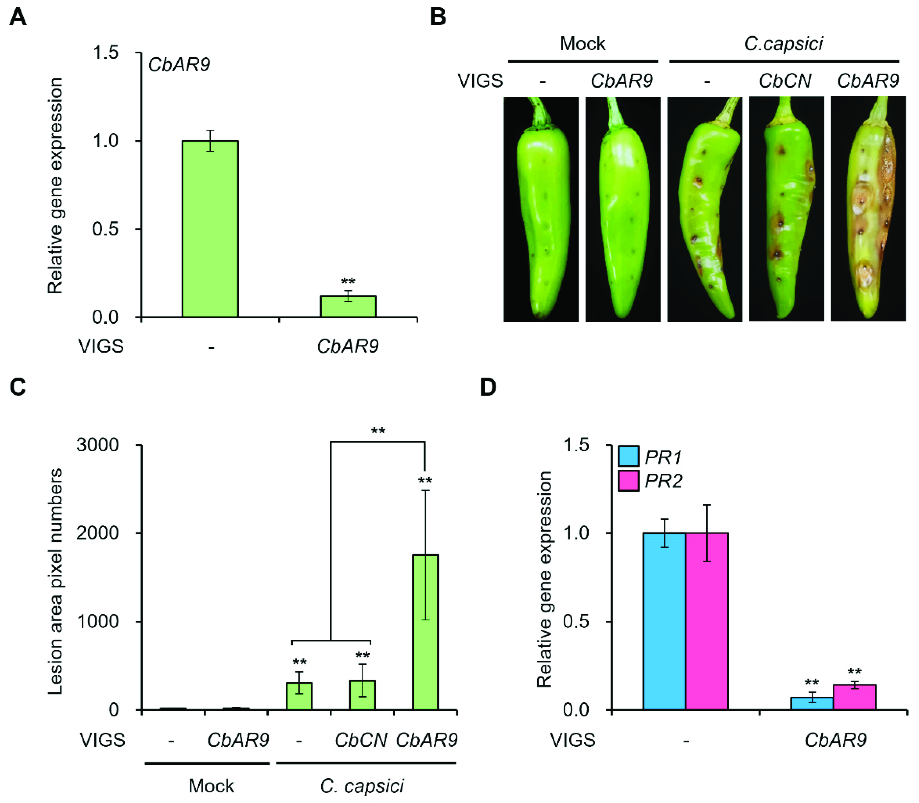 Ijms 22 12612 g004 550