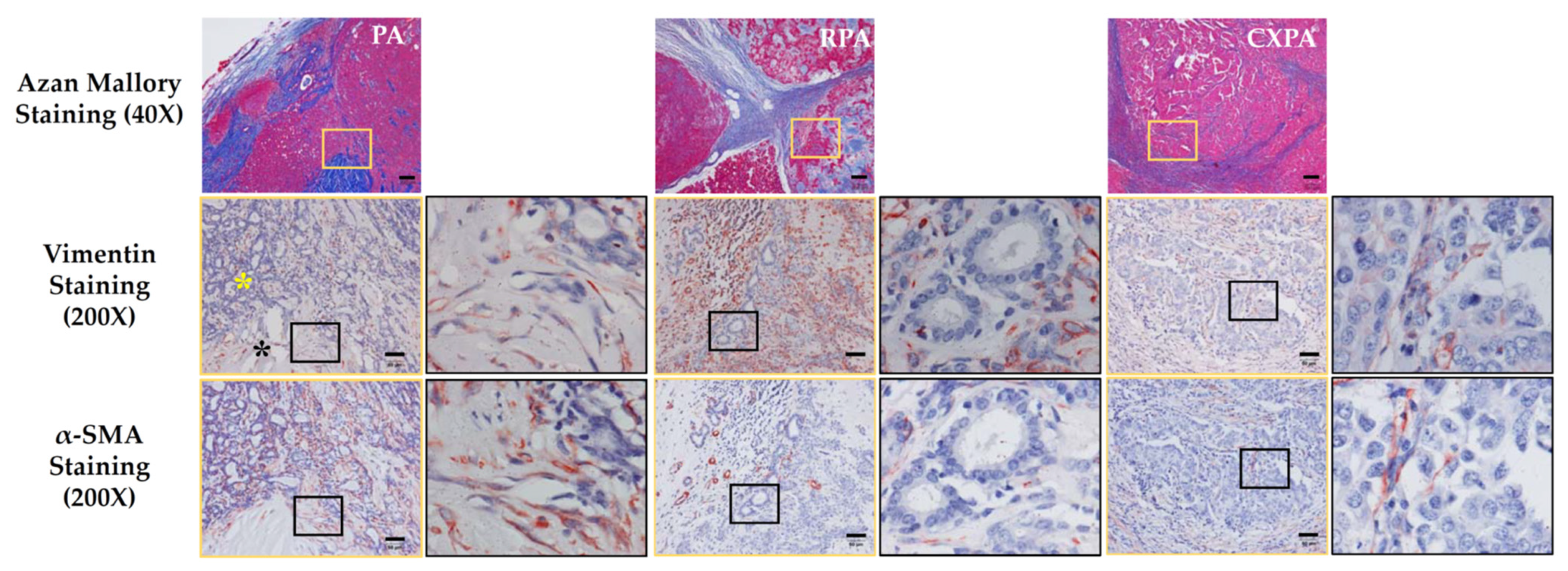 Ijms 22 12613 g002 550