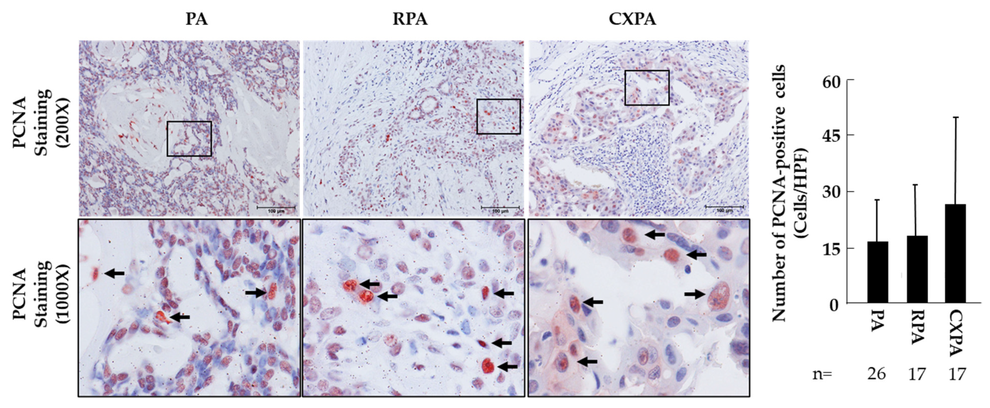 Ijms 22 12613 g004 550