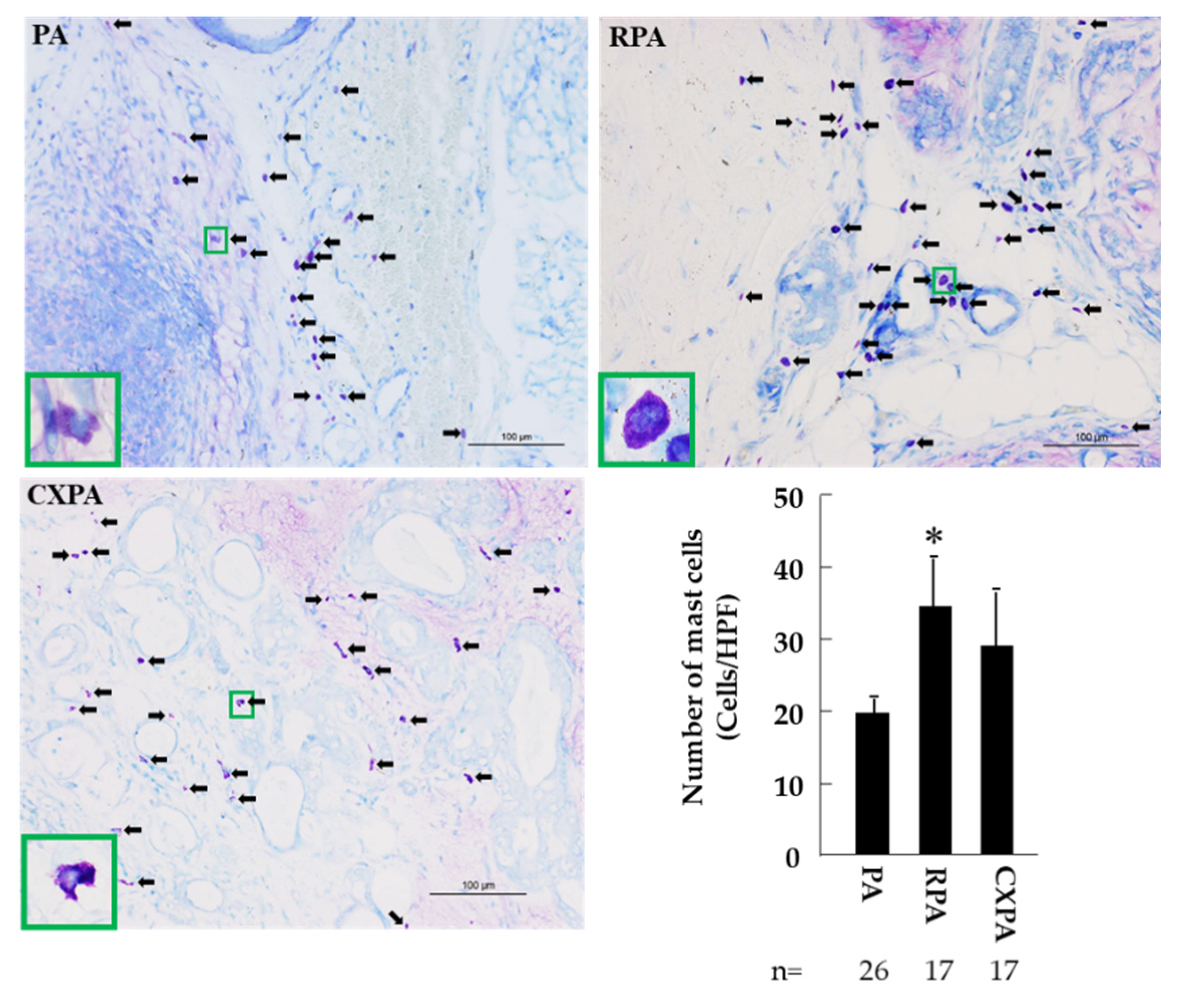 Ijms 22 12613 g005 550