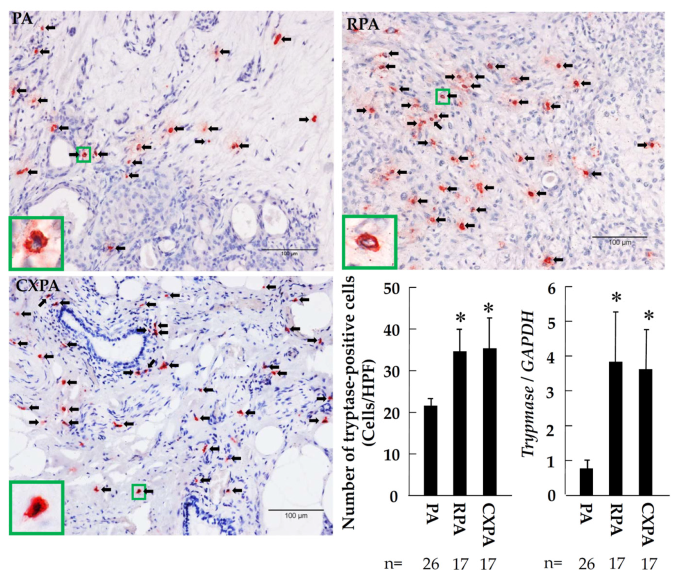 Ijms 22 12613 g006 550