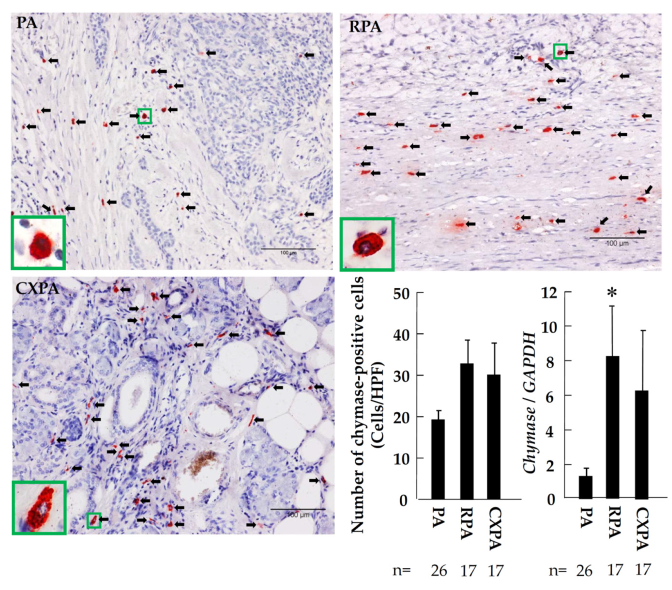 Ijms 22 12613 g007 550