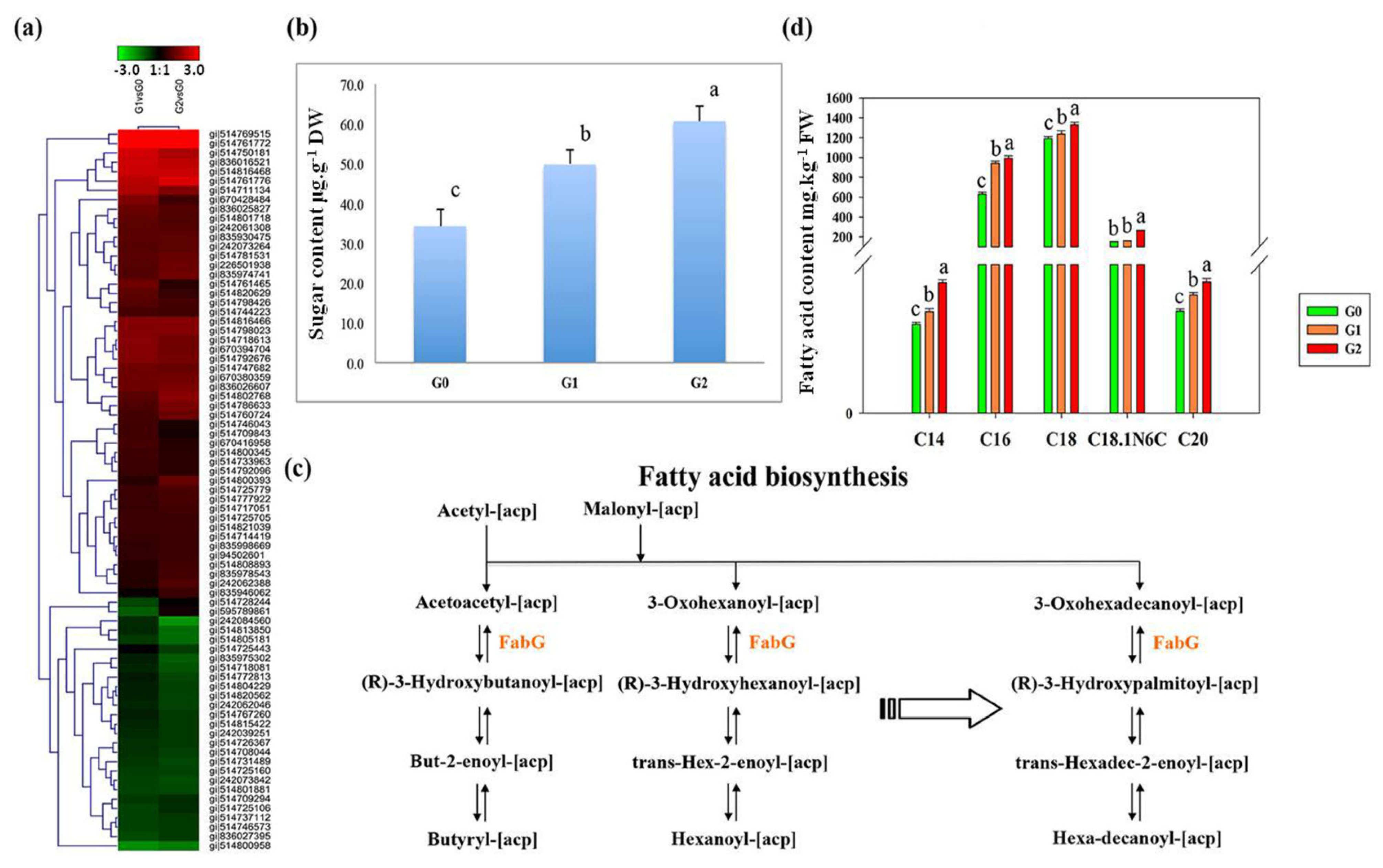 Ijms 22 12615 g005 550