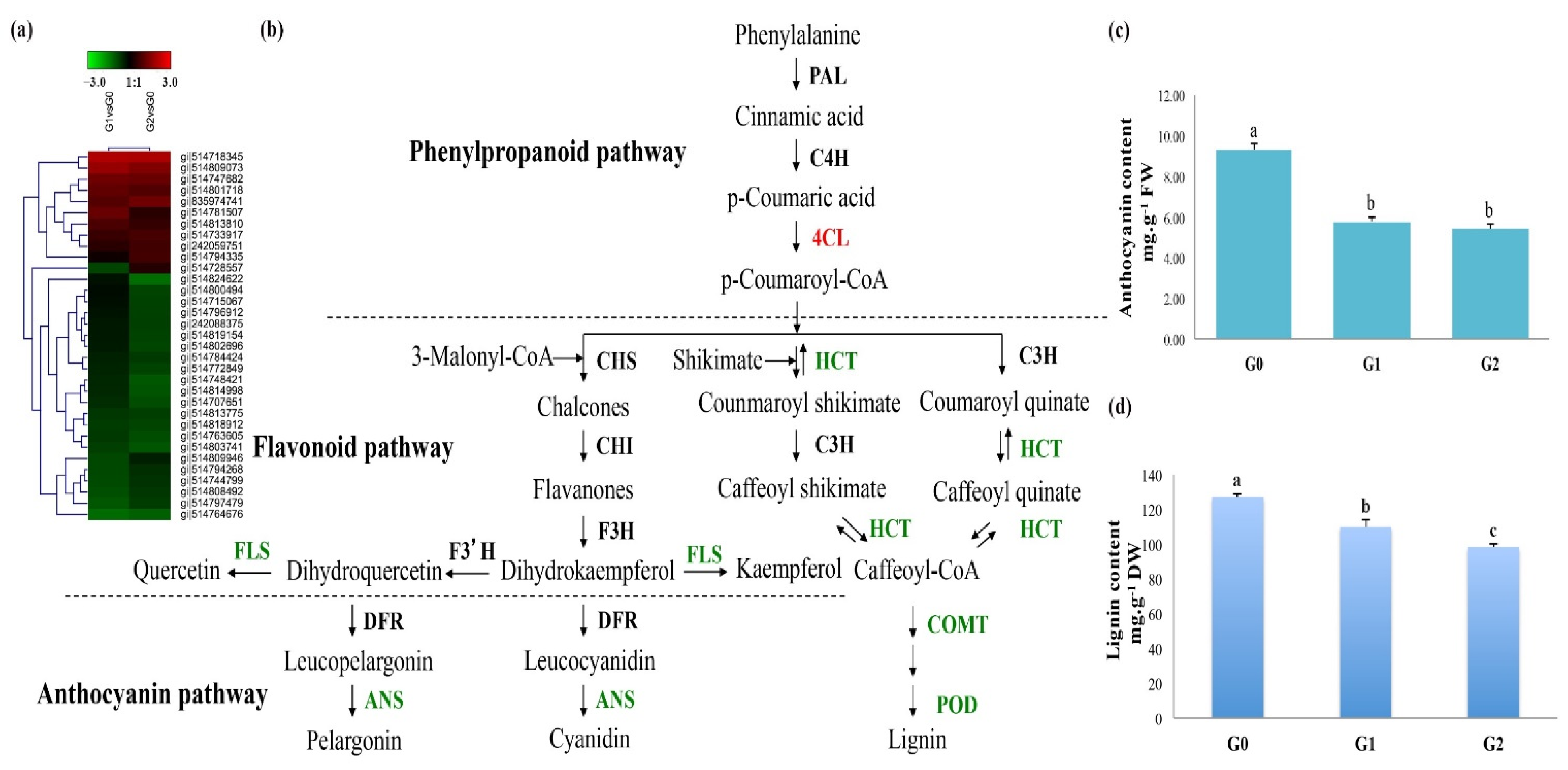 Ijms 22 12615 g006 550