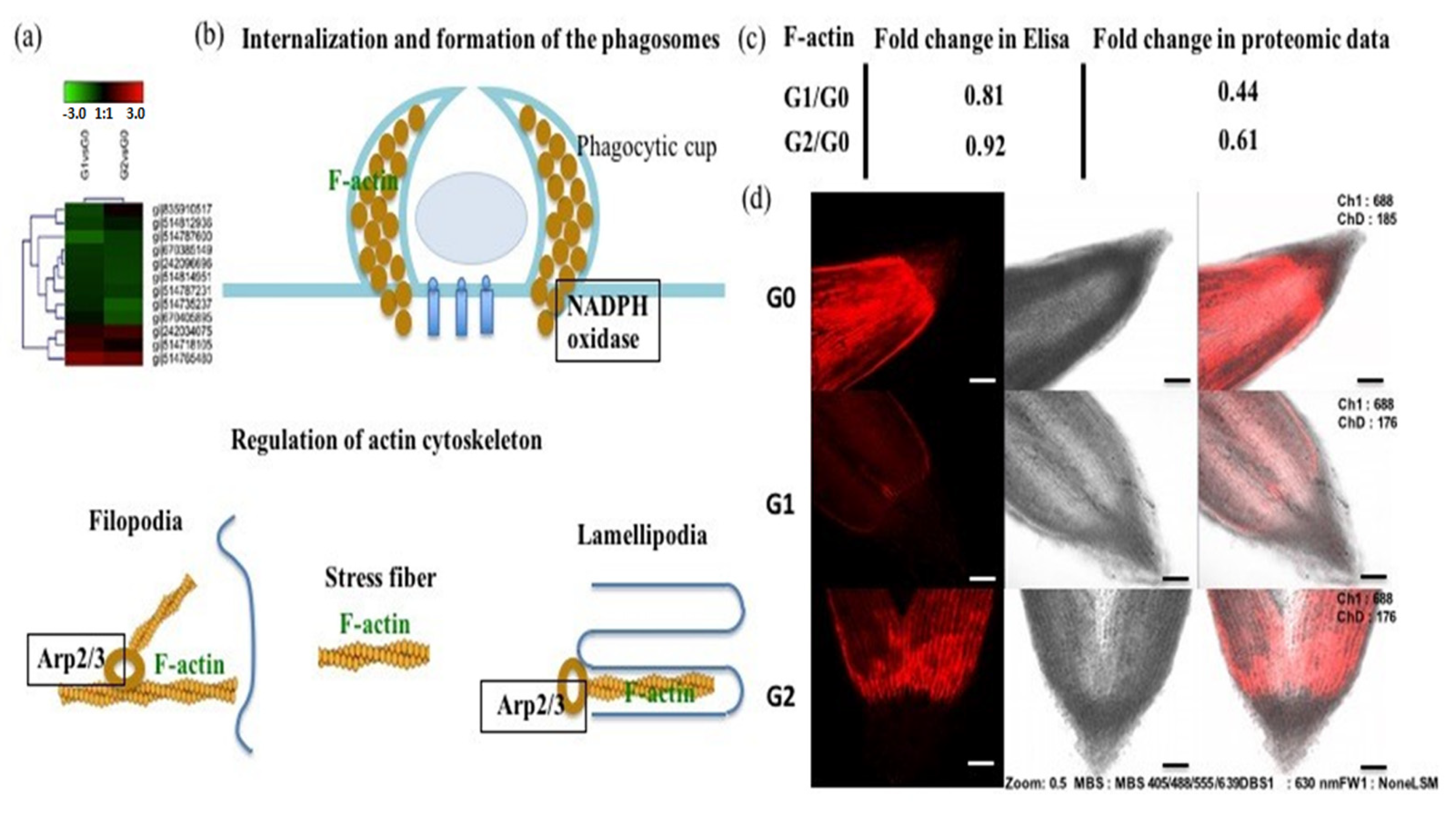 Ijms 22 12615 g008 550