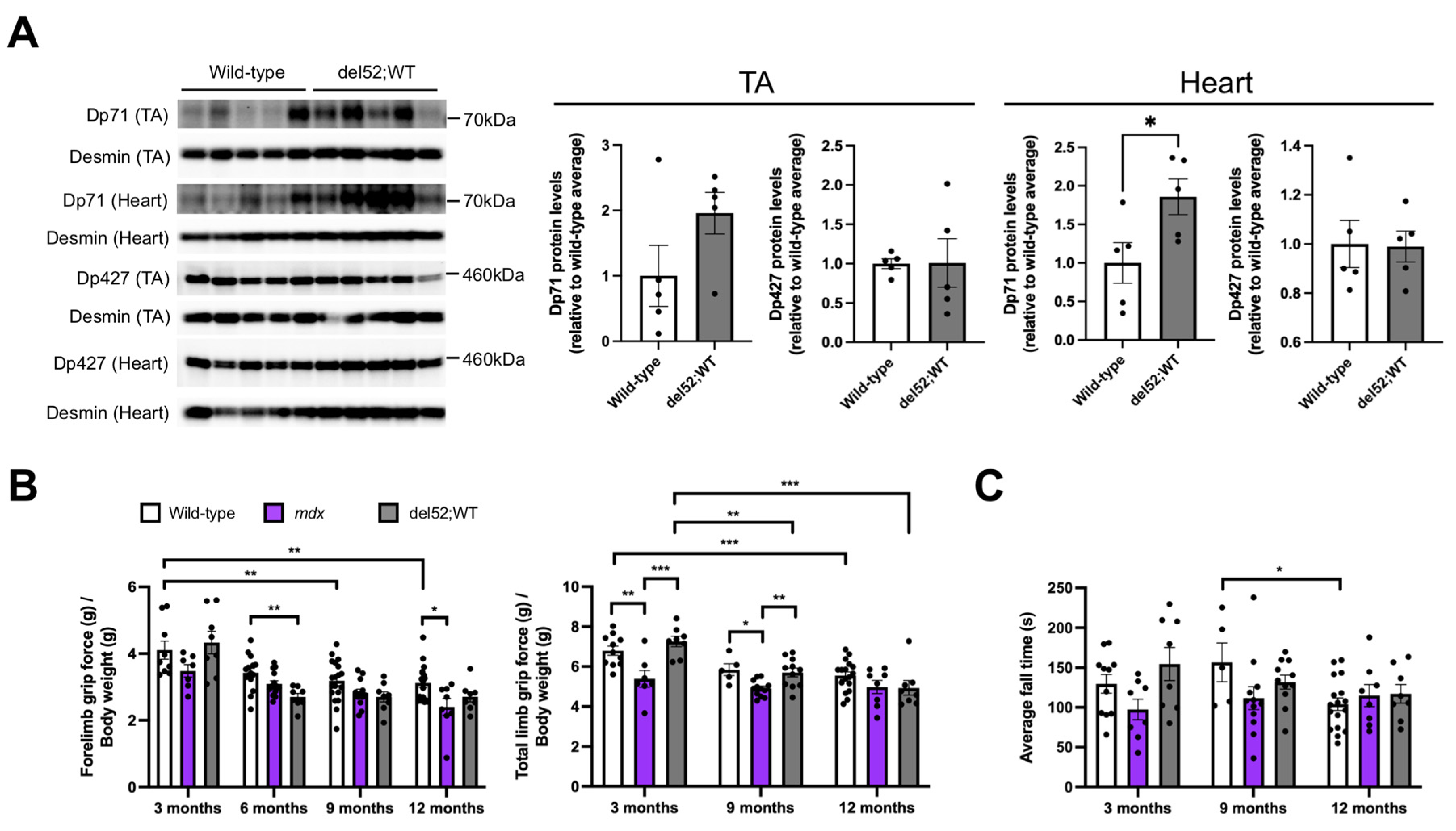 Ijms 22 12617 g001 550