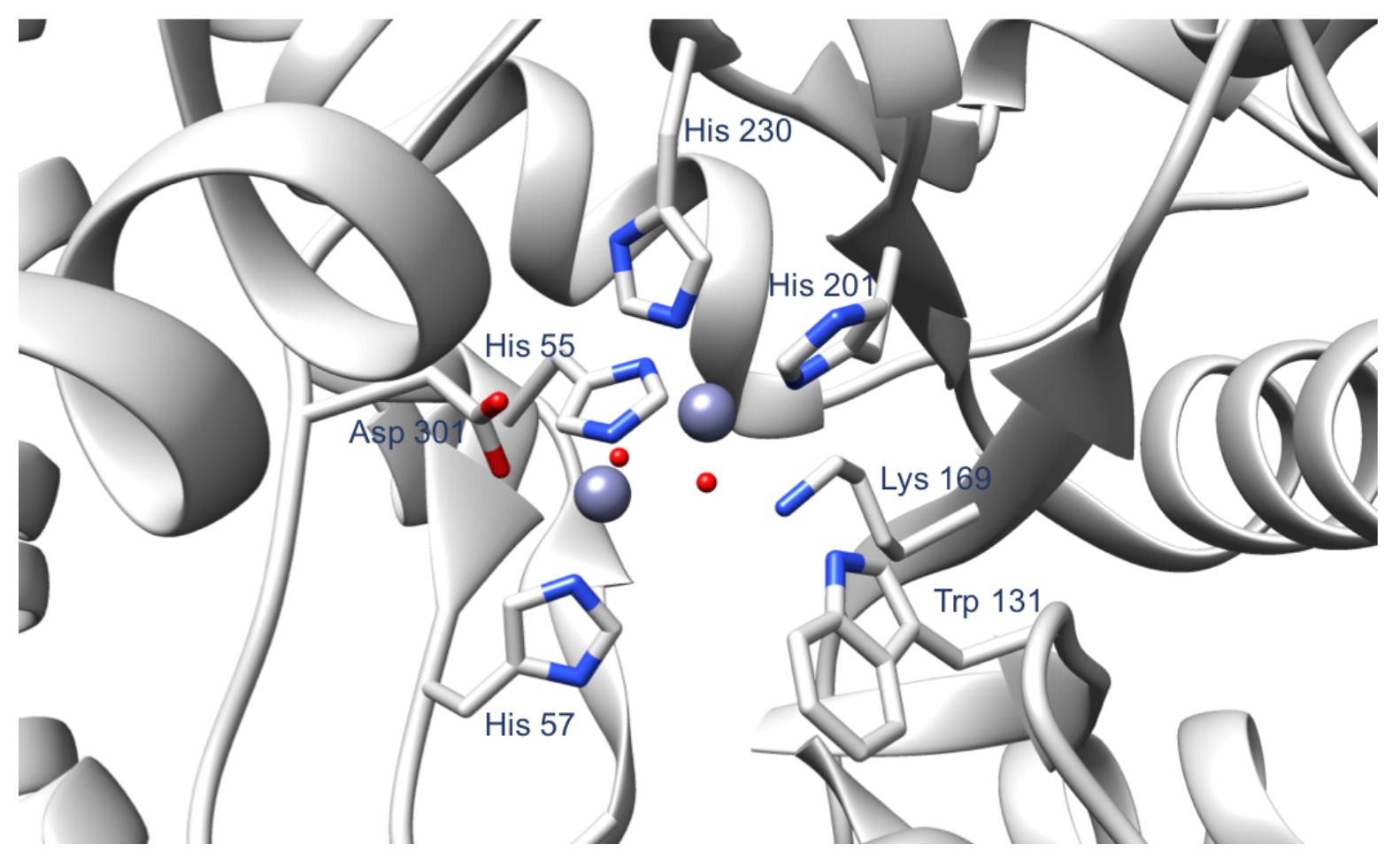 Ijms 22 12624 g002 550