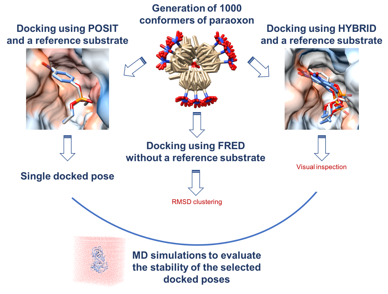 Ijms 22 12624 g003 550