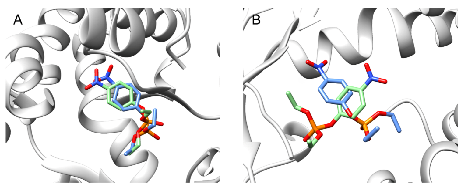Ijms 22 12624 g004 550
