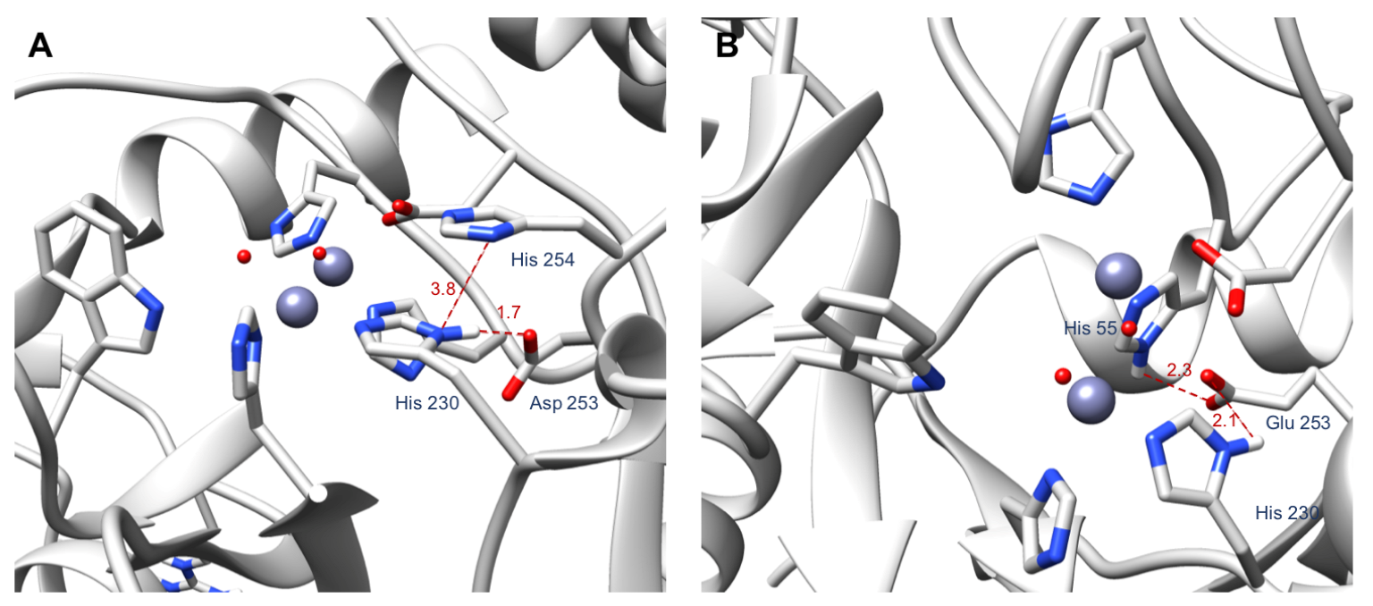 Ijms 22 12624 g005 550
