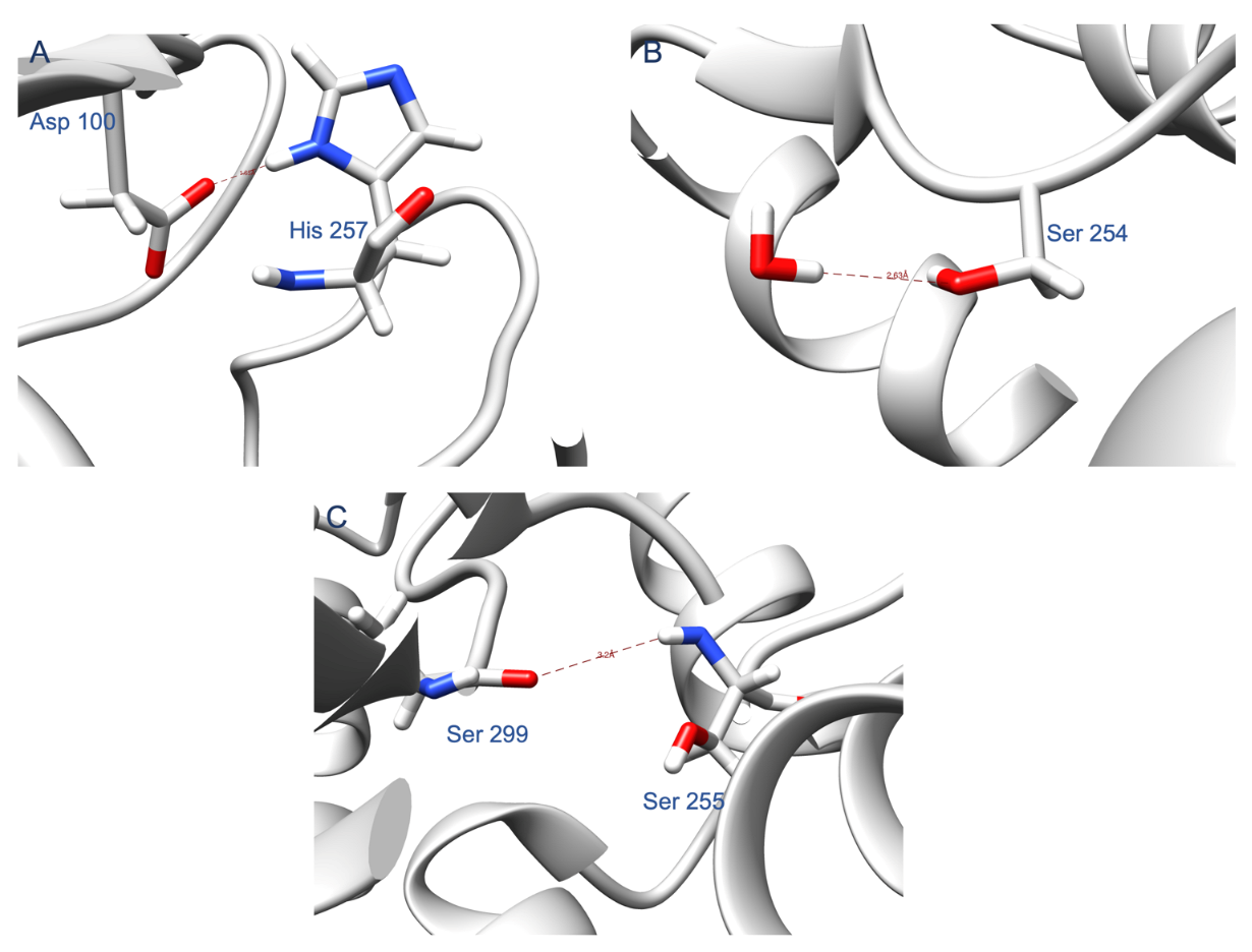 Ijms 22 12624 g0a6 550