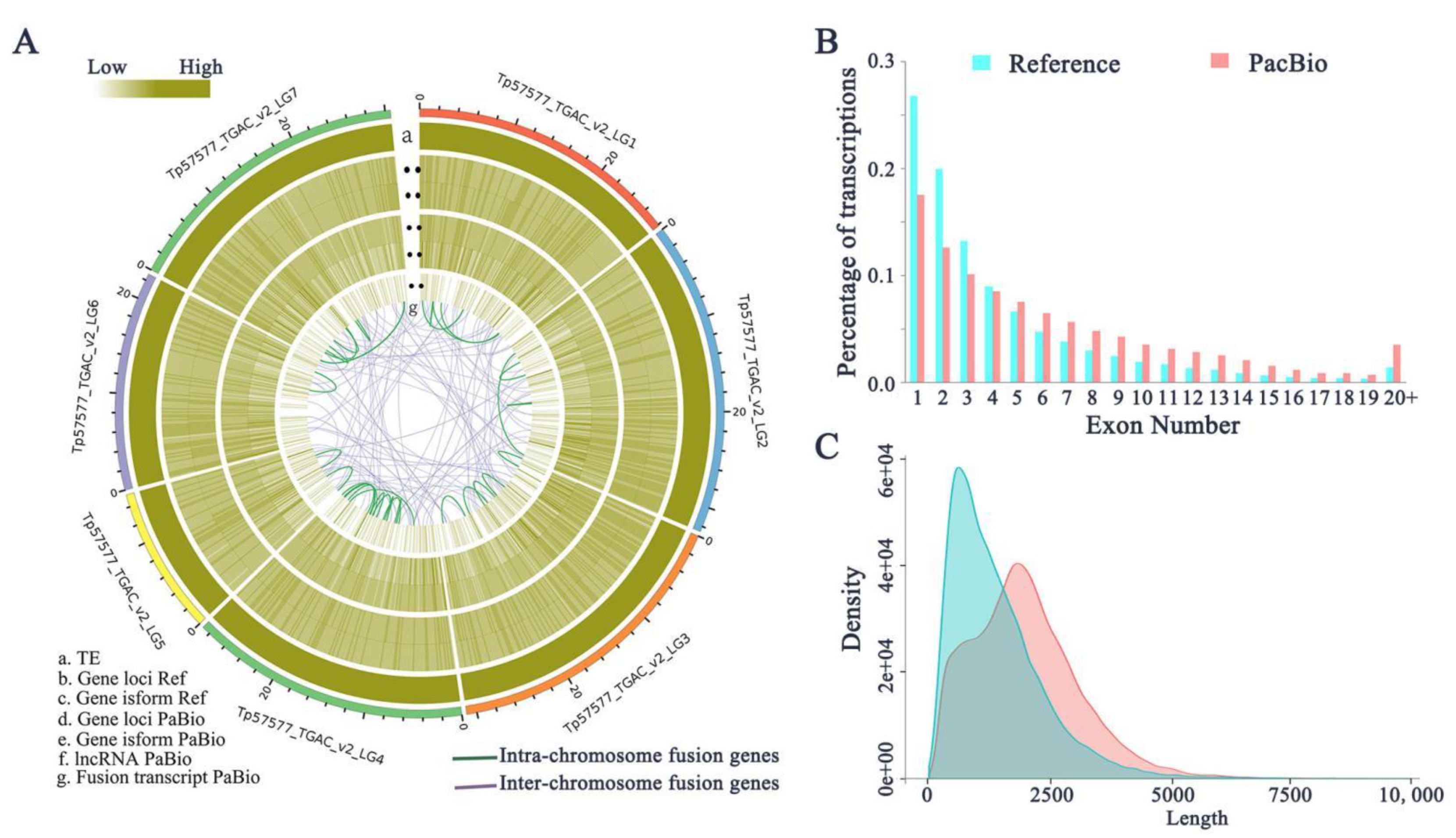 Ijms 22 12625 g001 550