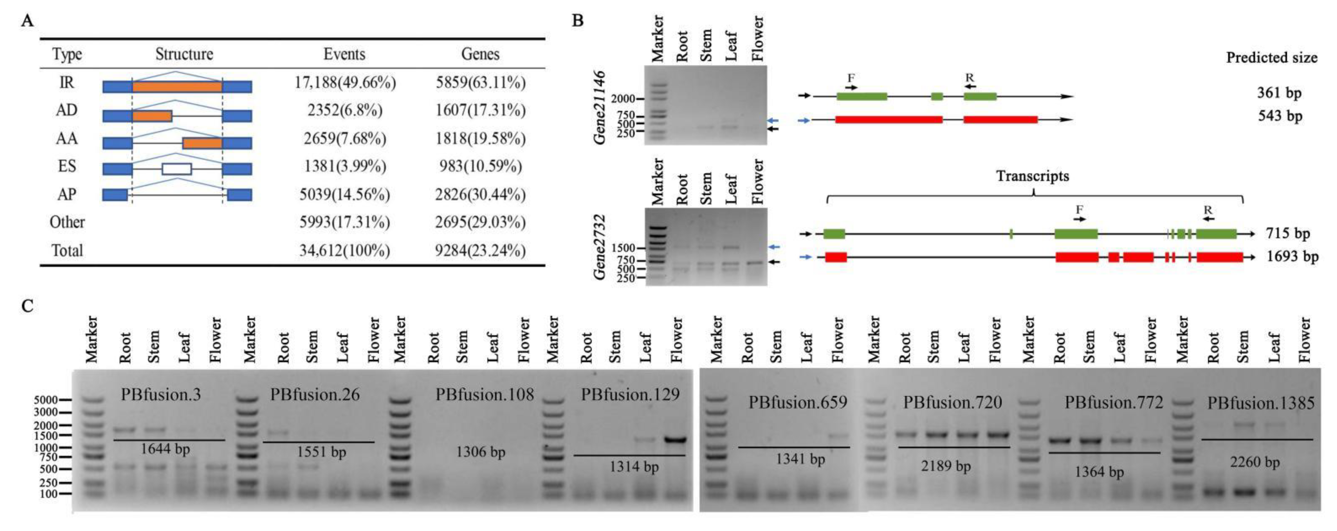 Ijms 22 12625 g002 550