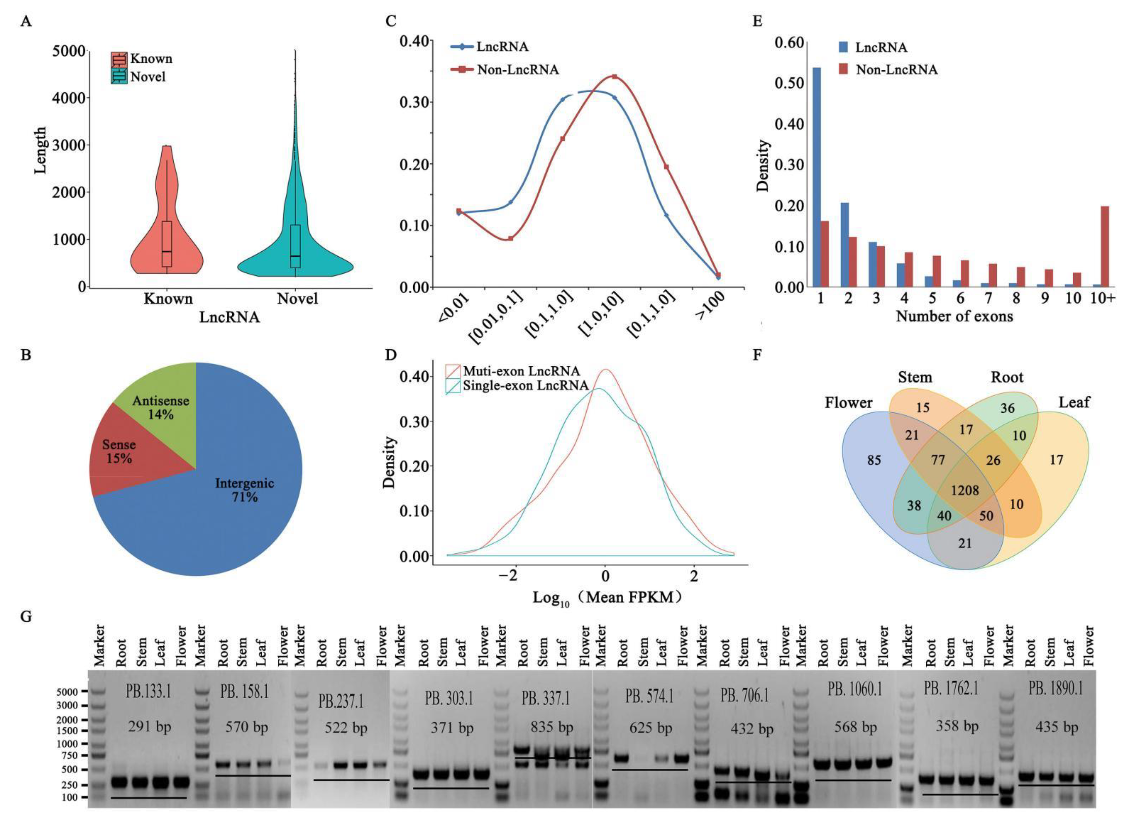Ijms 22 12625 g003 550