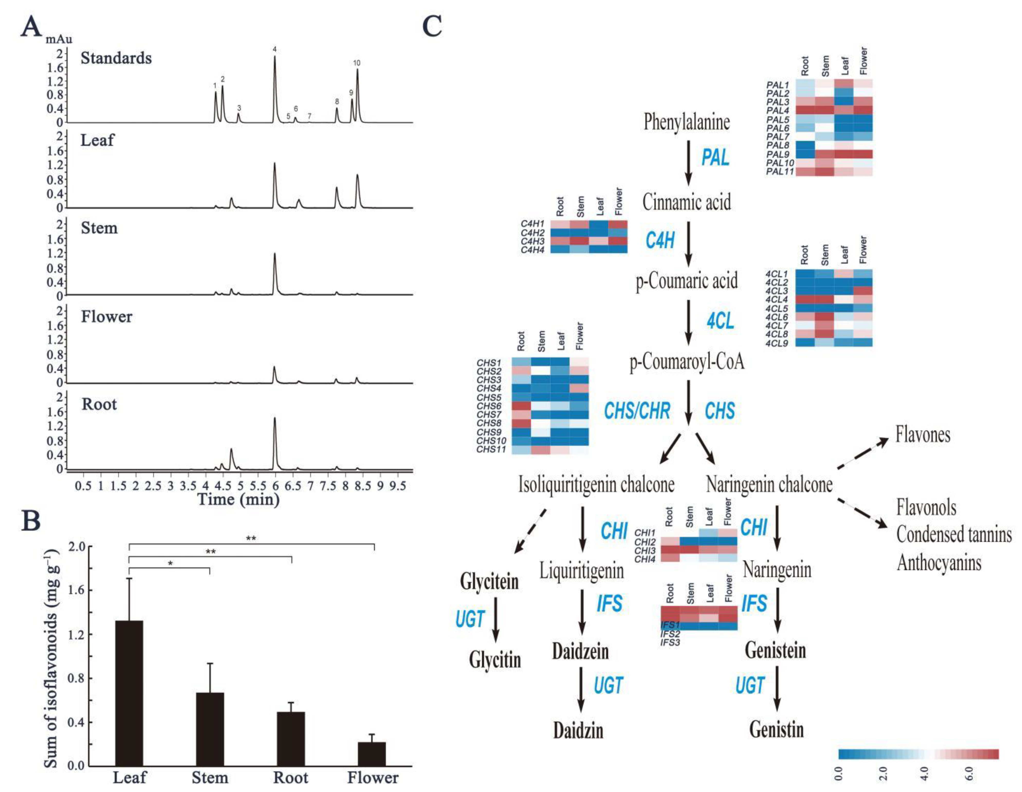 Ijms 22 12625 g004 550