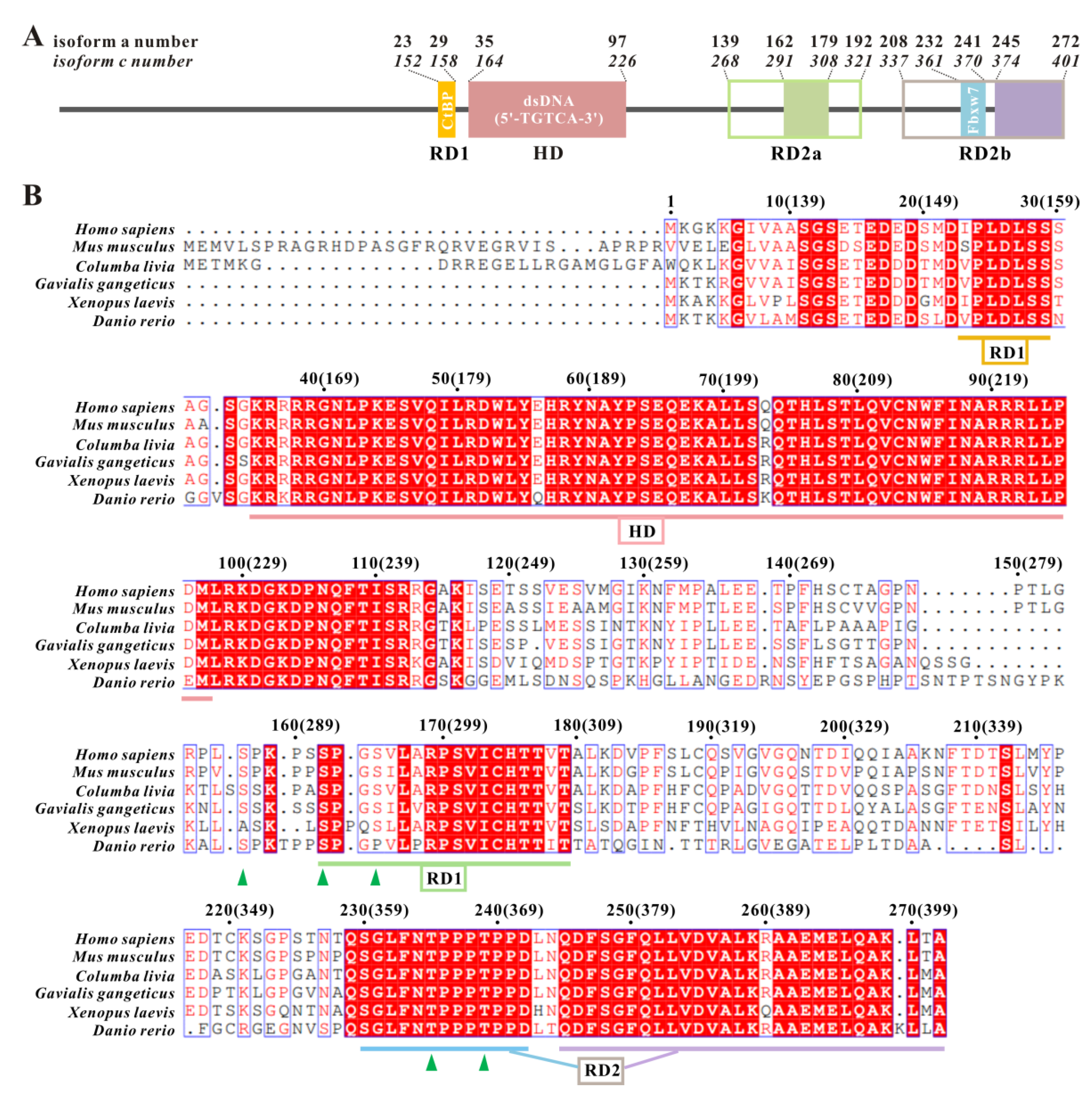 Ijms 22 12631 g001 Ijms 22 12631 g001