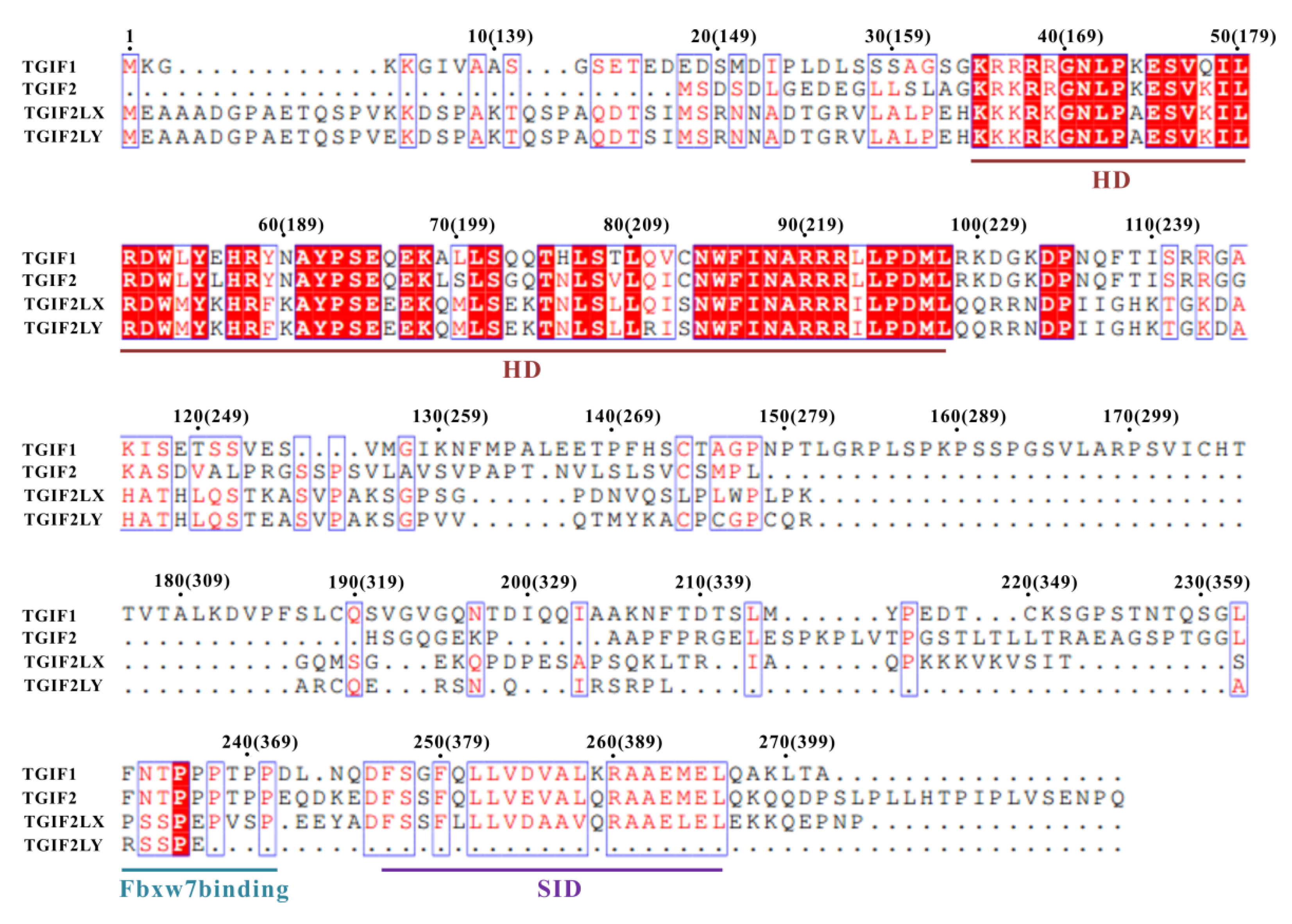 Ijms 22 12631 g007 Ijms 22 12631 g007