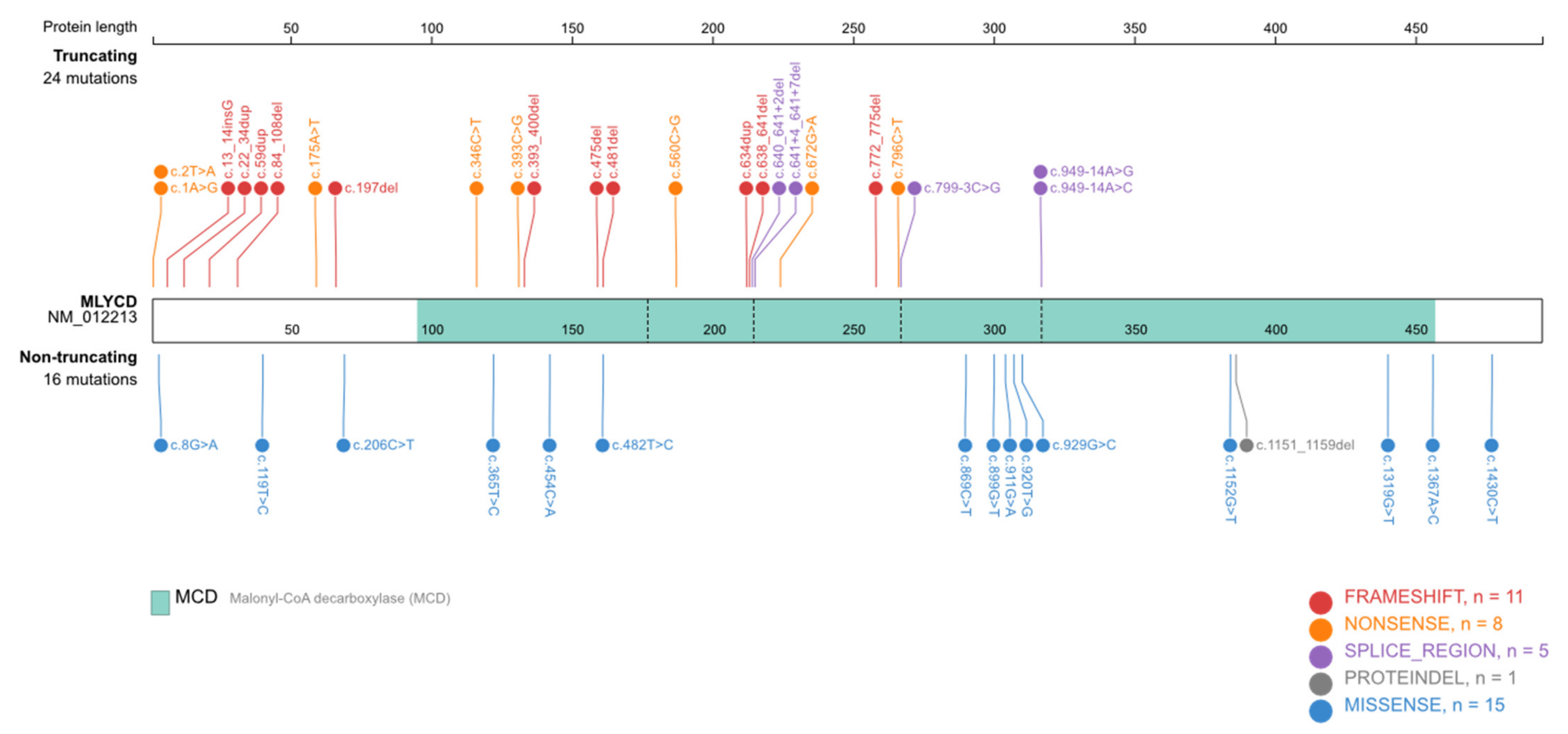 Ijms 22 12633 g004 550