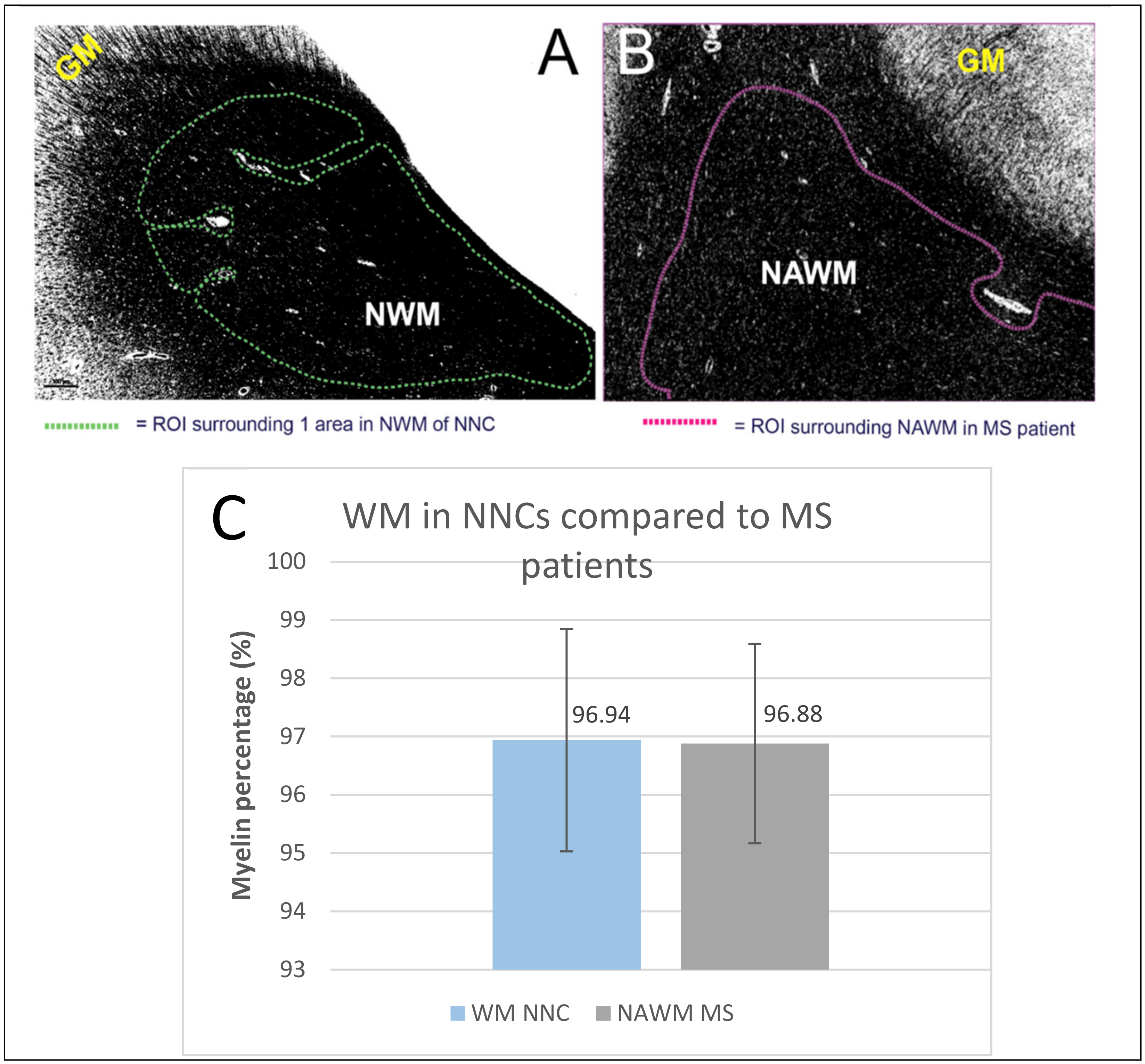 Ijms 22 12634 g003 550