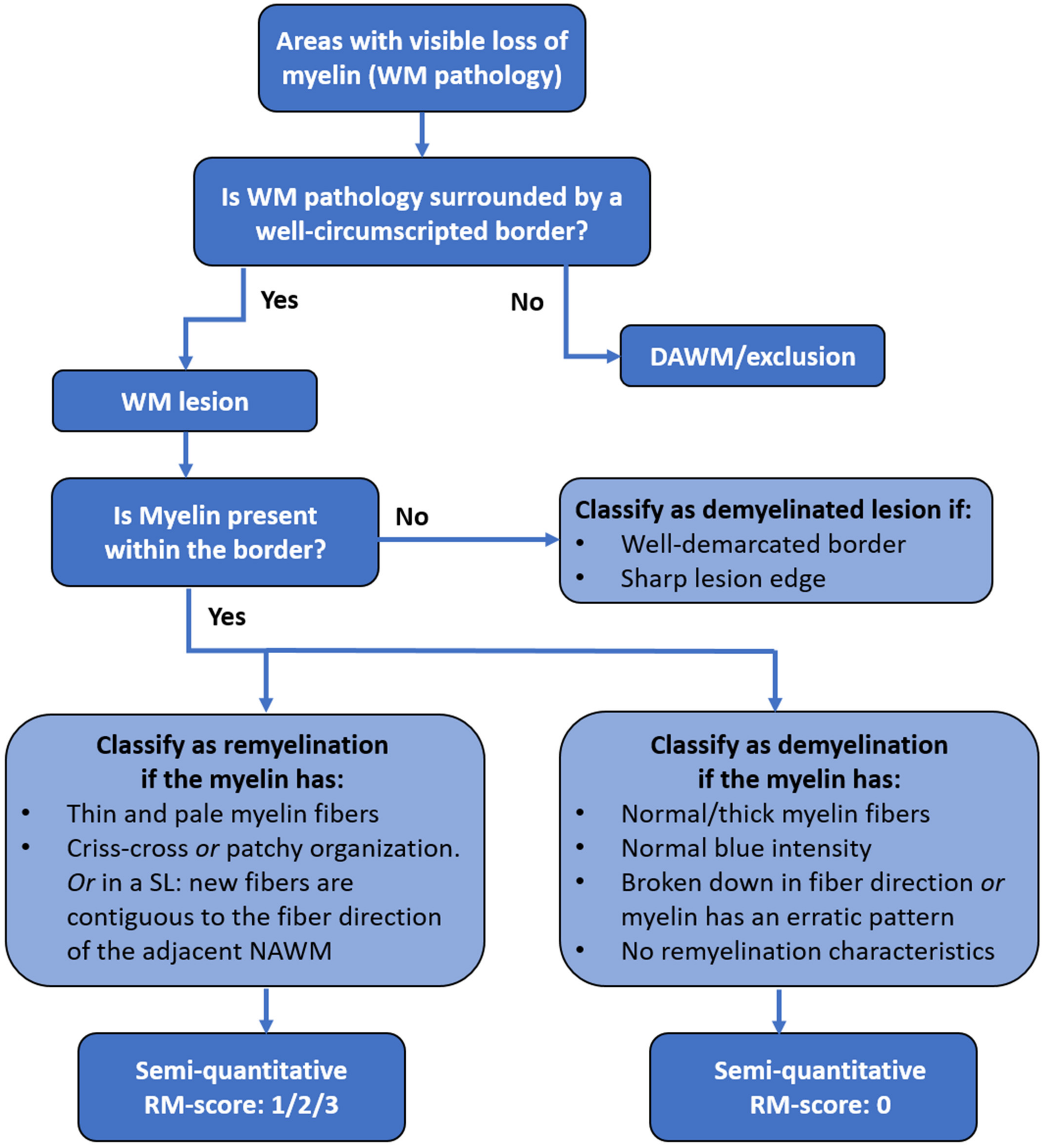Ijms 22 12634 g004 550