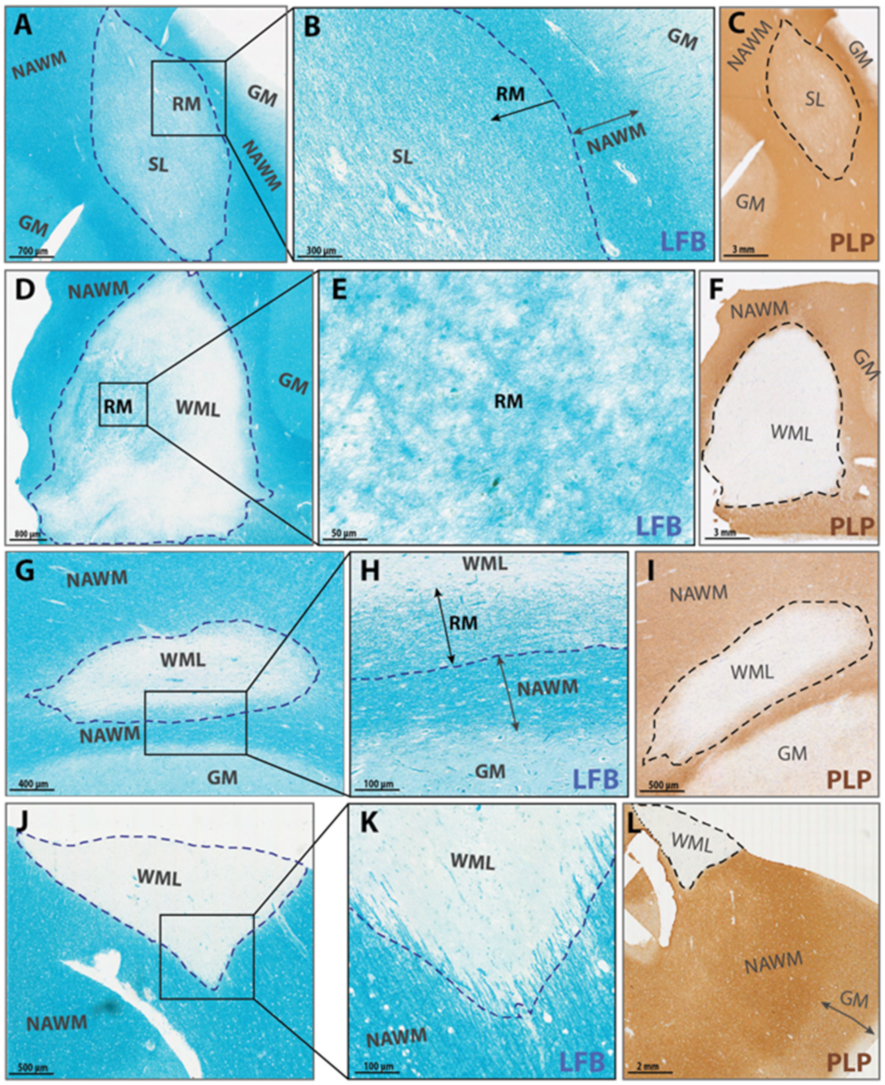 Ijms 22 12634 g005 550