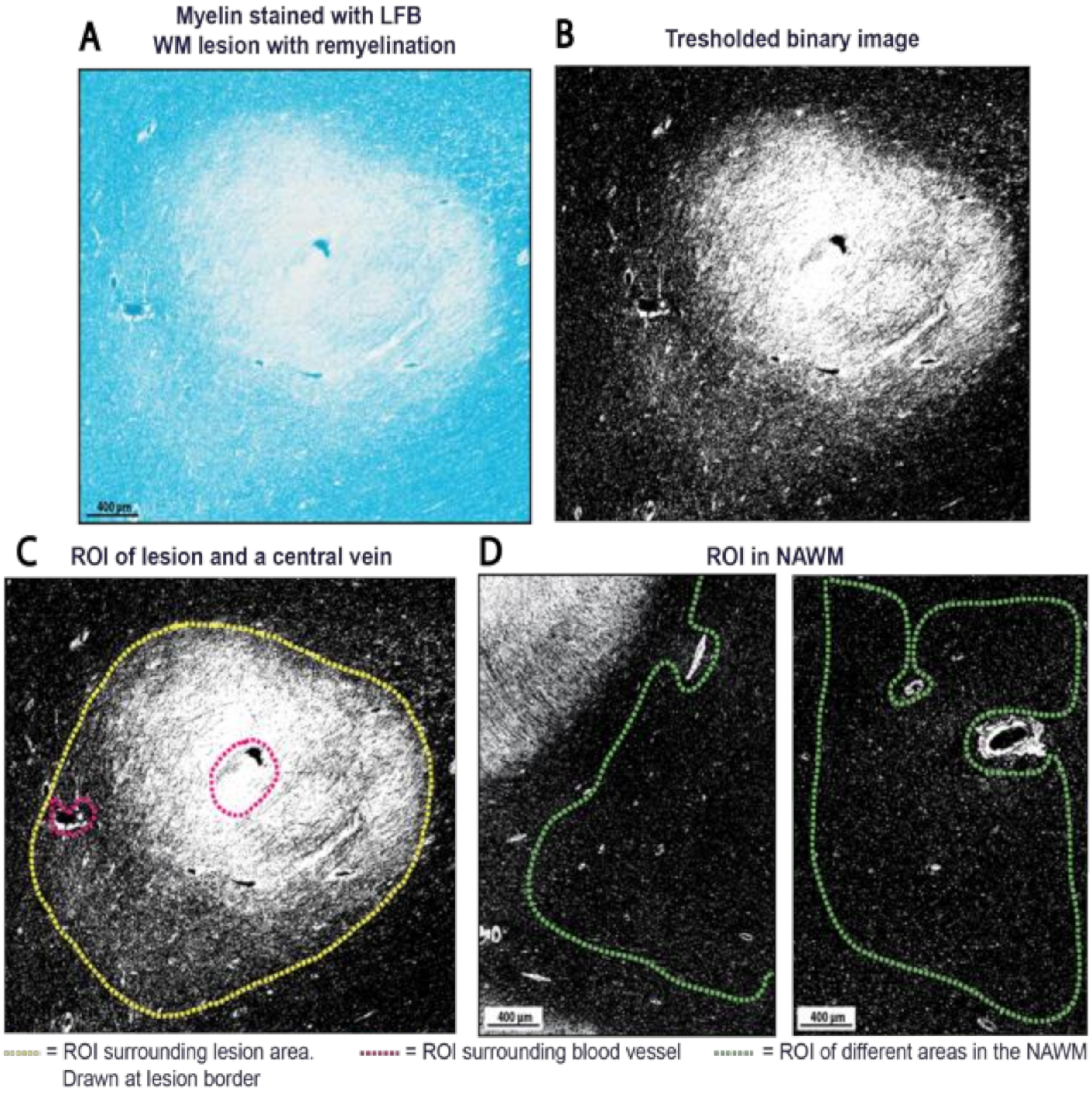 Ijms 22 12634 g006 550