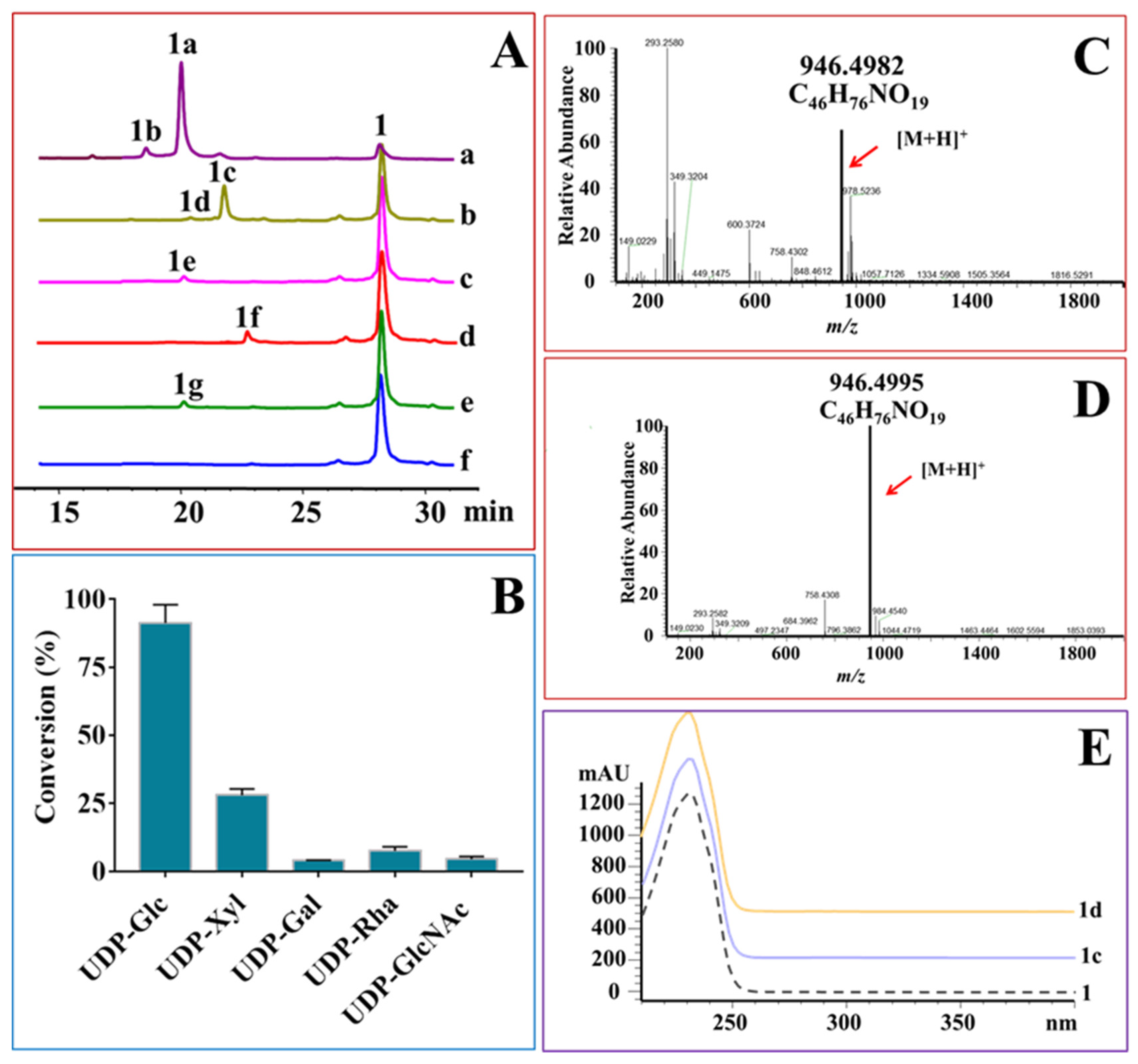 Ijms 22 12636 g003 Ijms 22 12636 g003