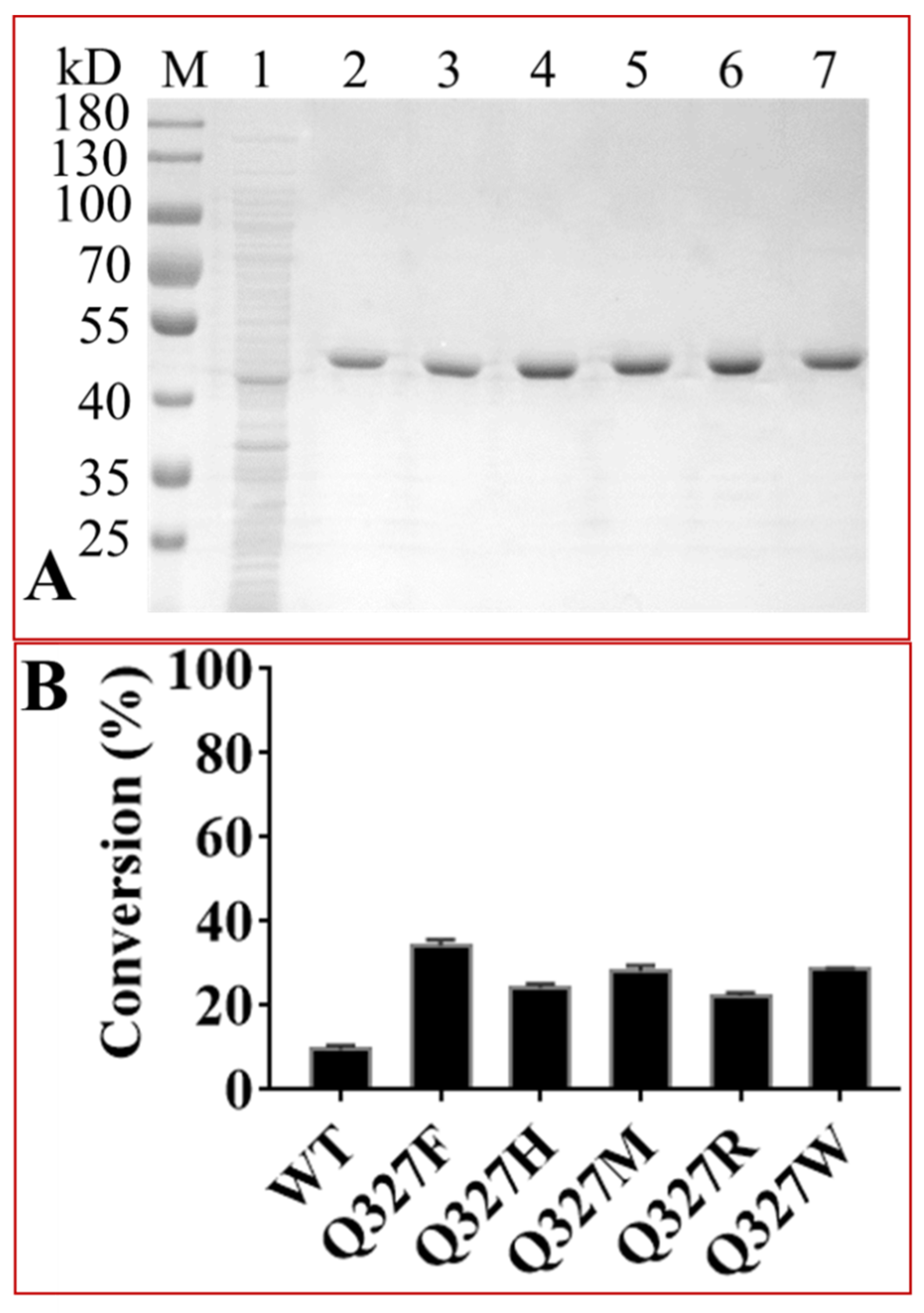 Ijms 22 12636 g004 Ijms 22 12636 g004