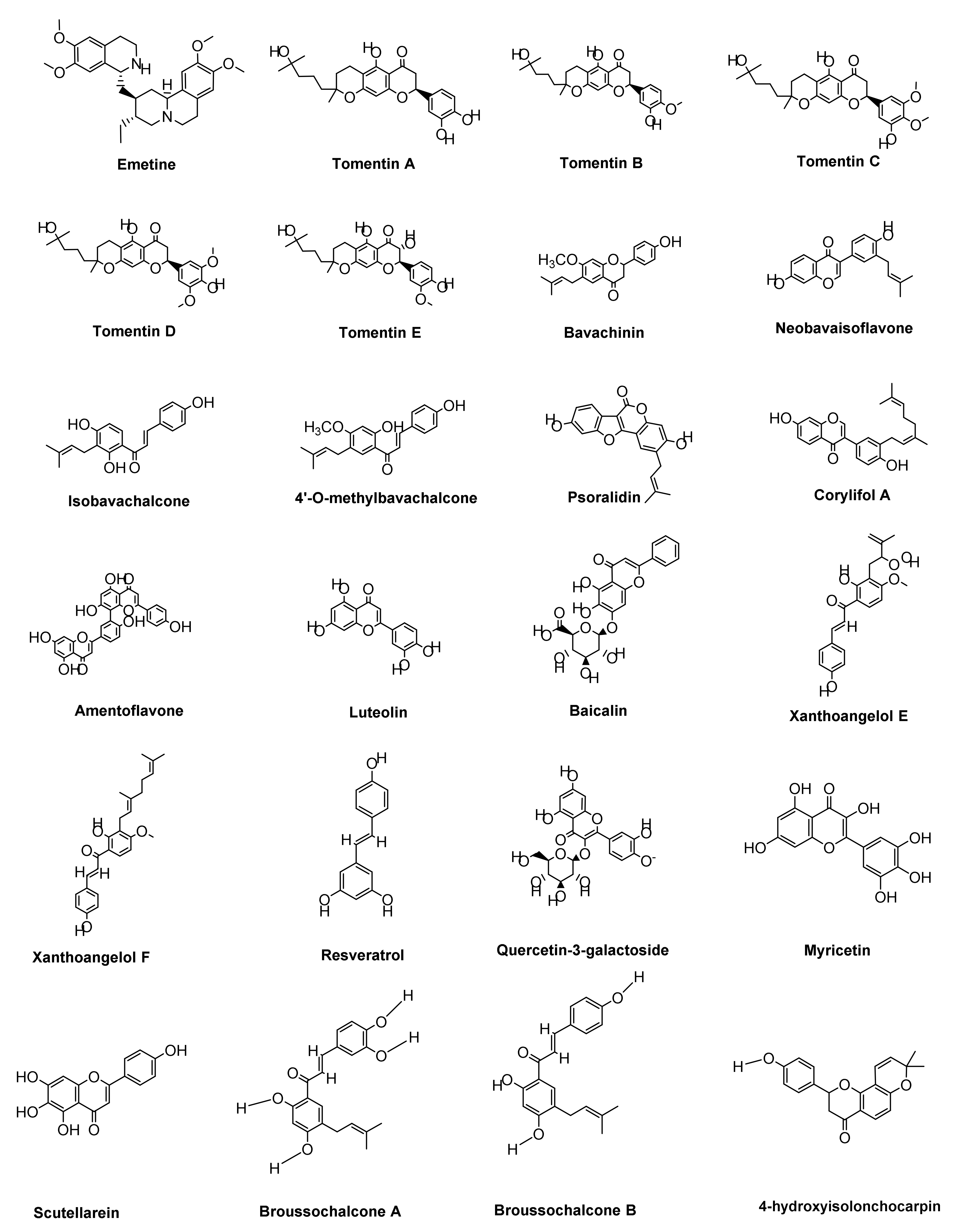 Ijms 22 12638 g006a 550