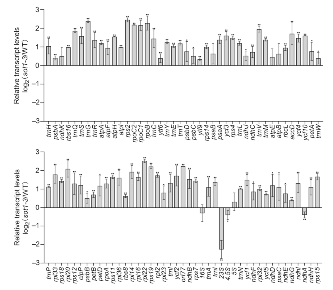 Ijms 22 12639 g001 550