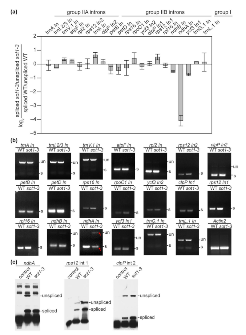 Ijms 22 12639 g008 550