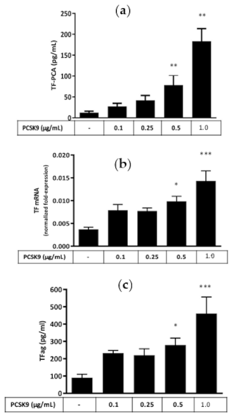 Ijms 22 12640 g001 Ijms 22 12640 g001