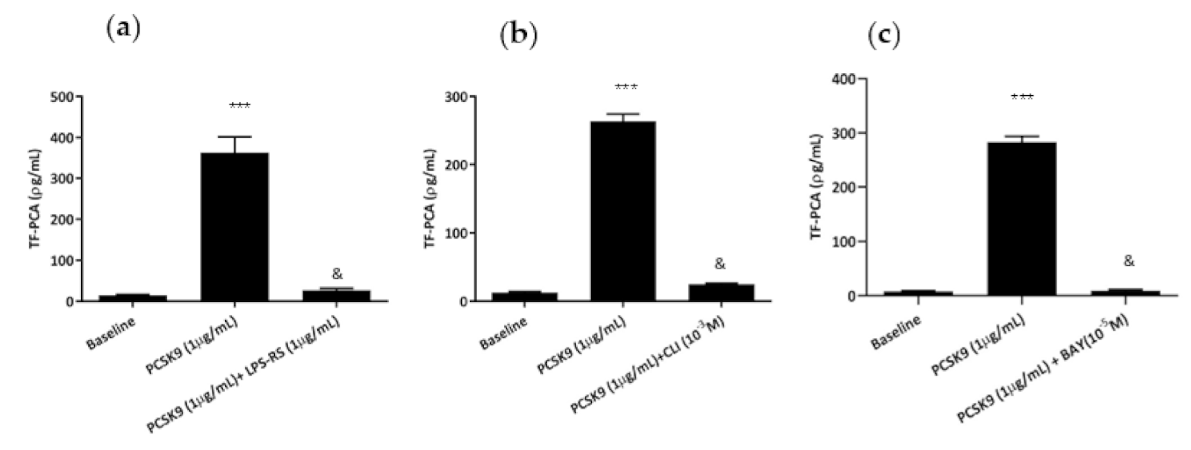 Ijms 22 12640 g003 Ijms 22 12640 g003