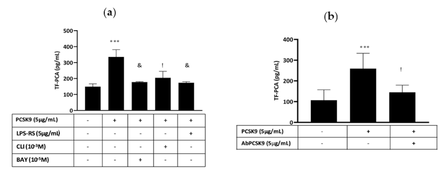 Ijms 22 12640 g004 Ijms 22 12640 g004