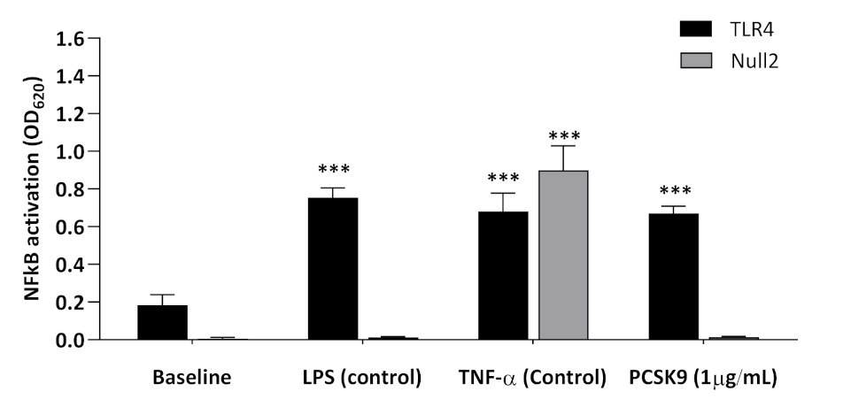 Ijms 22 12640 g006 Ijms 22 12640 g006