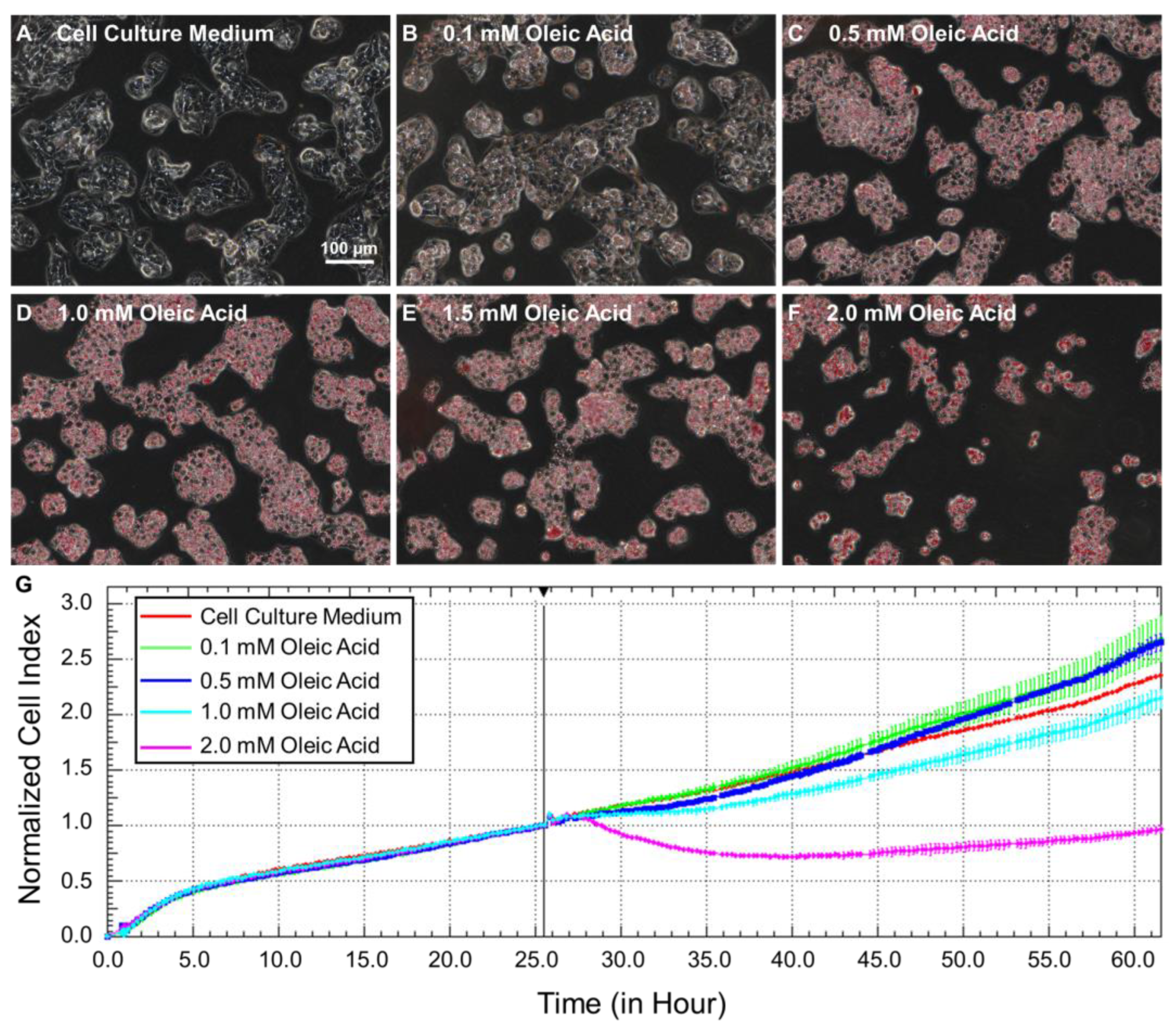Ijms 22 12643 g002 550