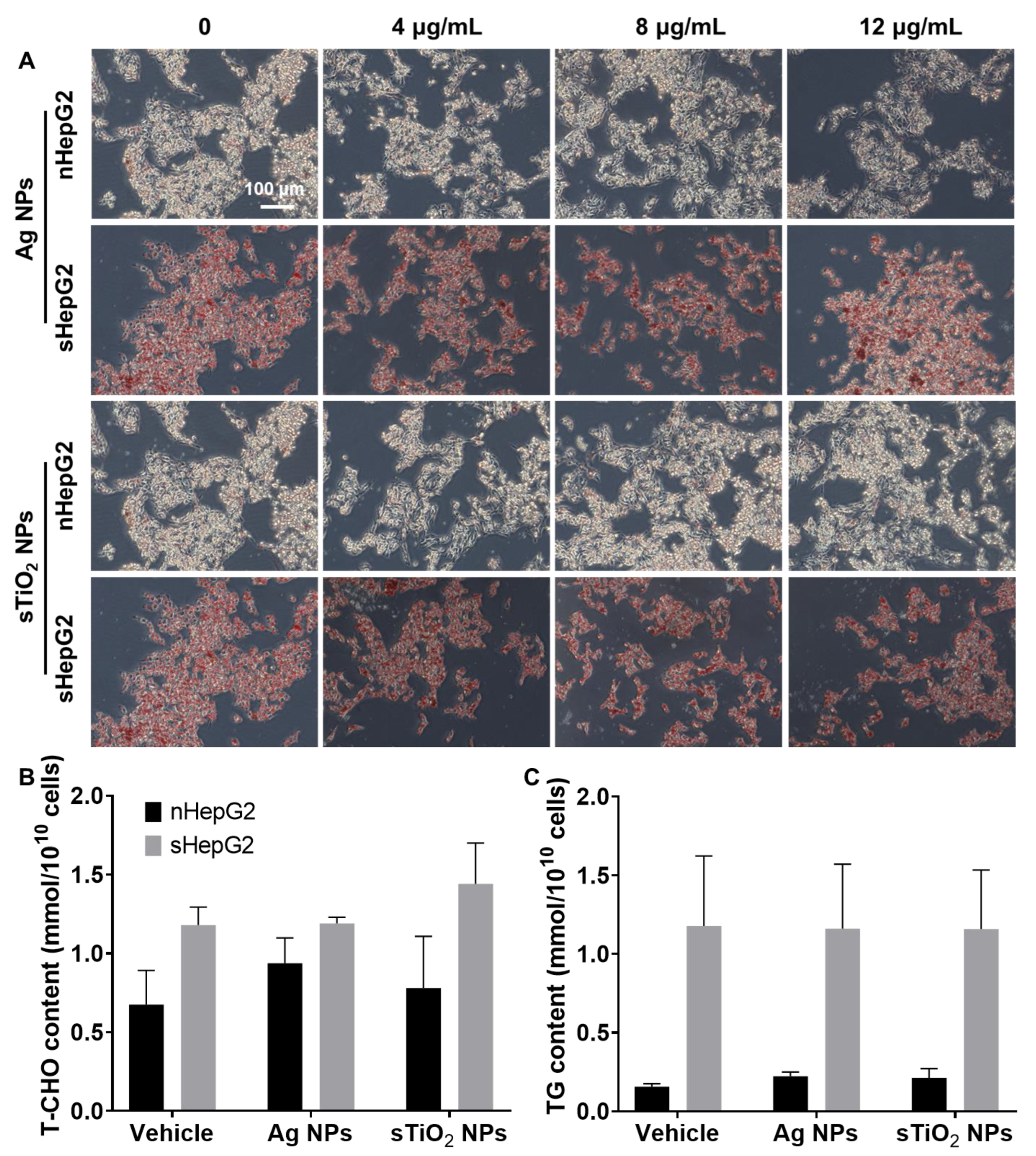 Ijms 22 12643 g005 550
