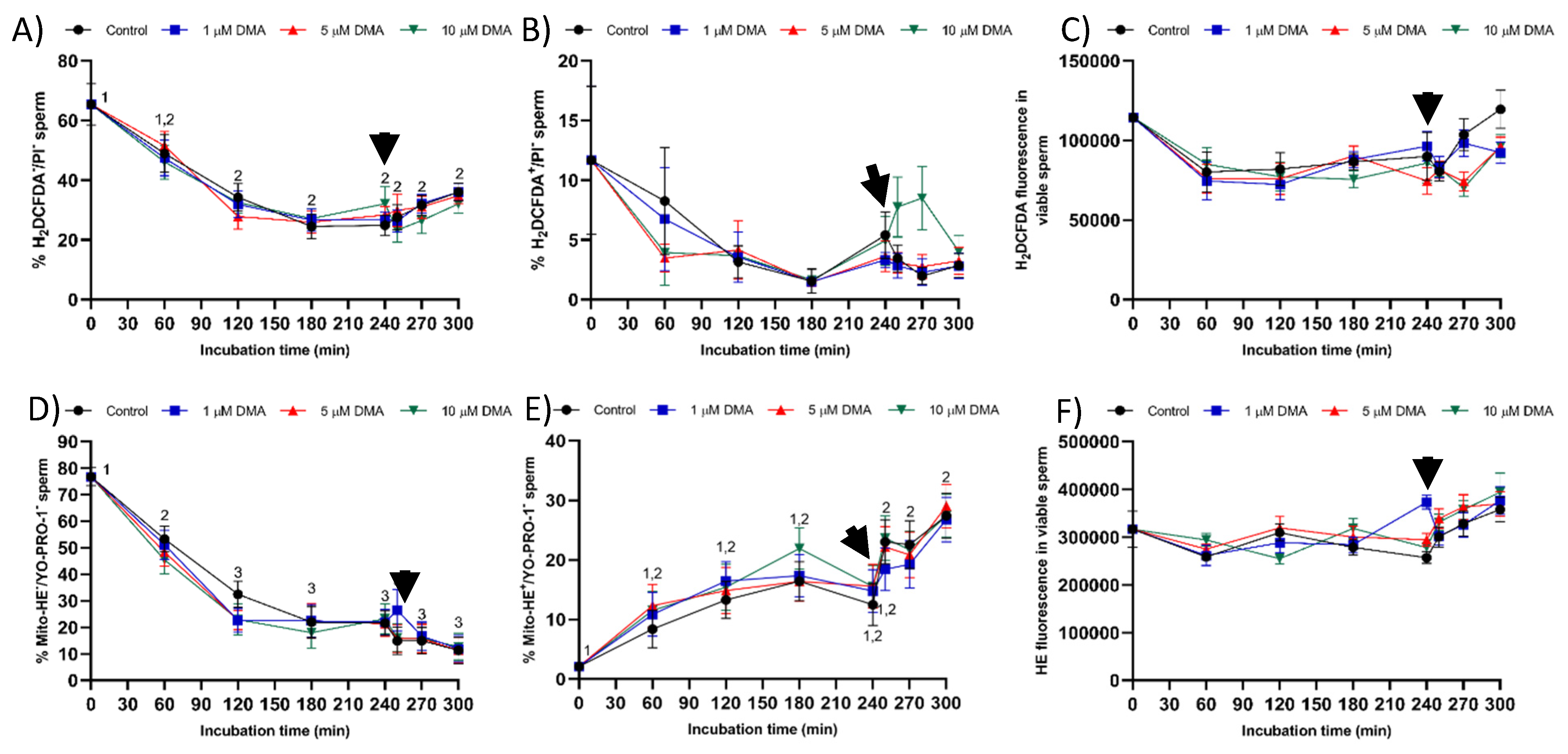 Ijms 22 12646 g011 550