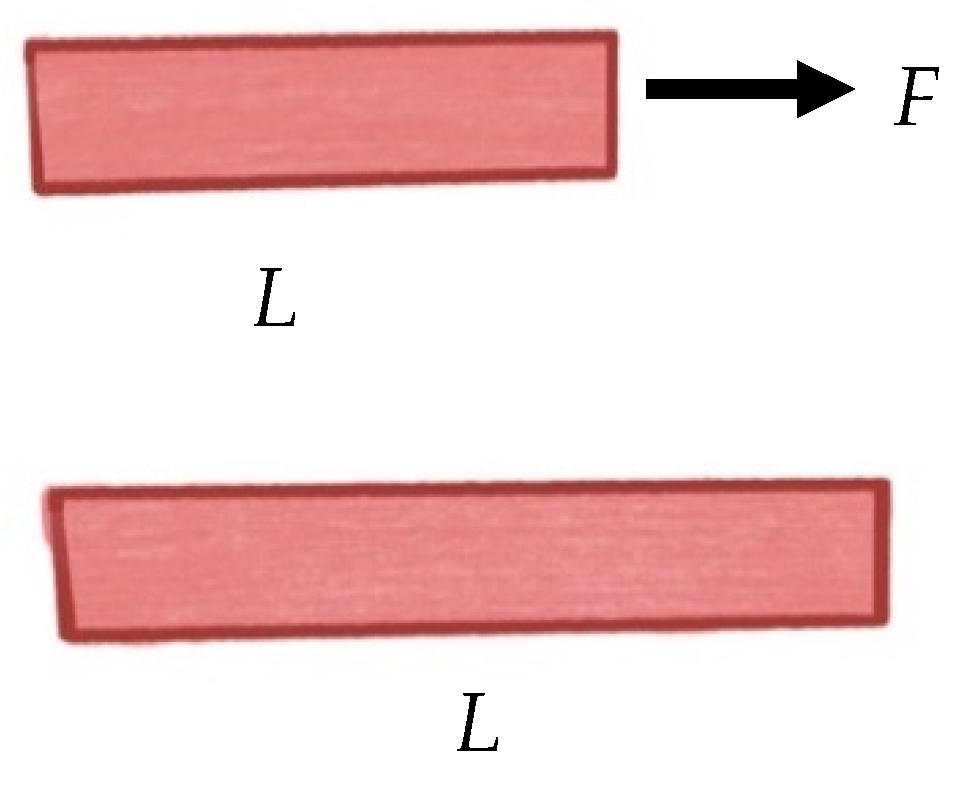 Ijms 22 12657 g003 550