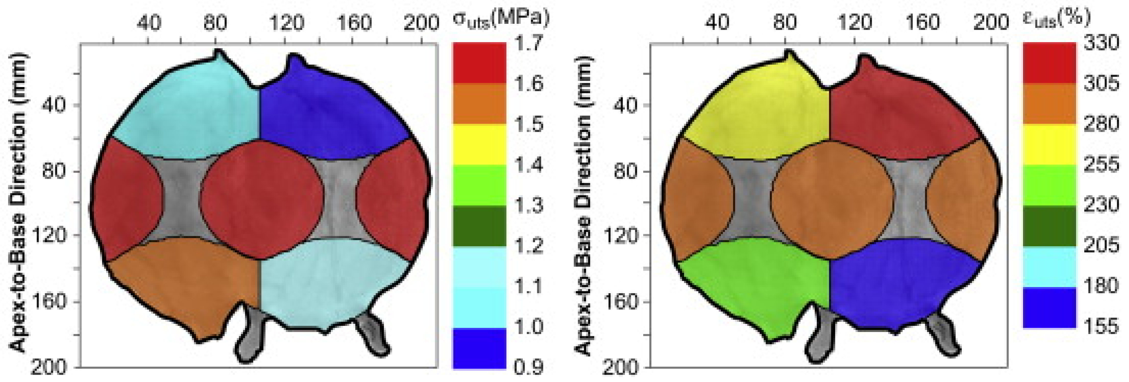 Ijms 22 12657 g009 550