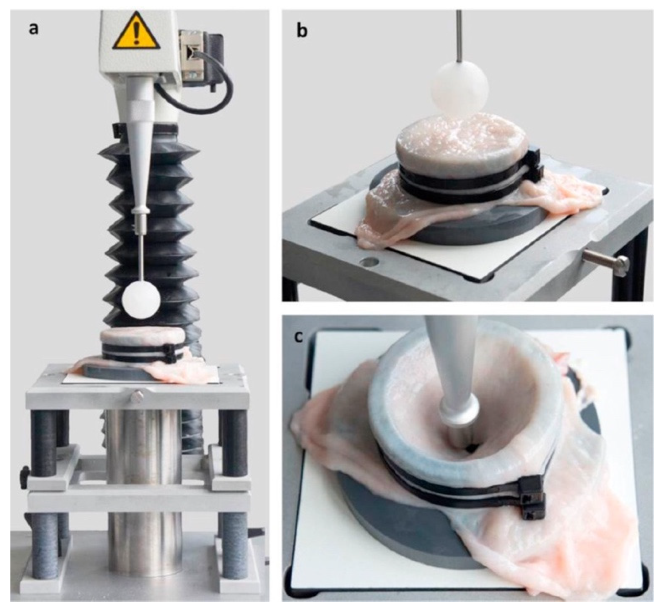 Ijms 22 12657 g011 550