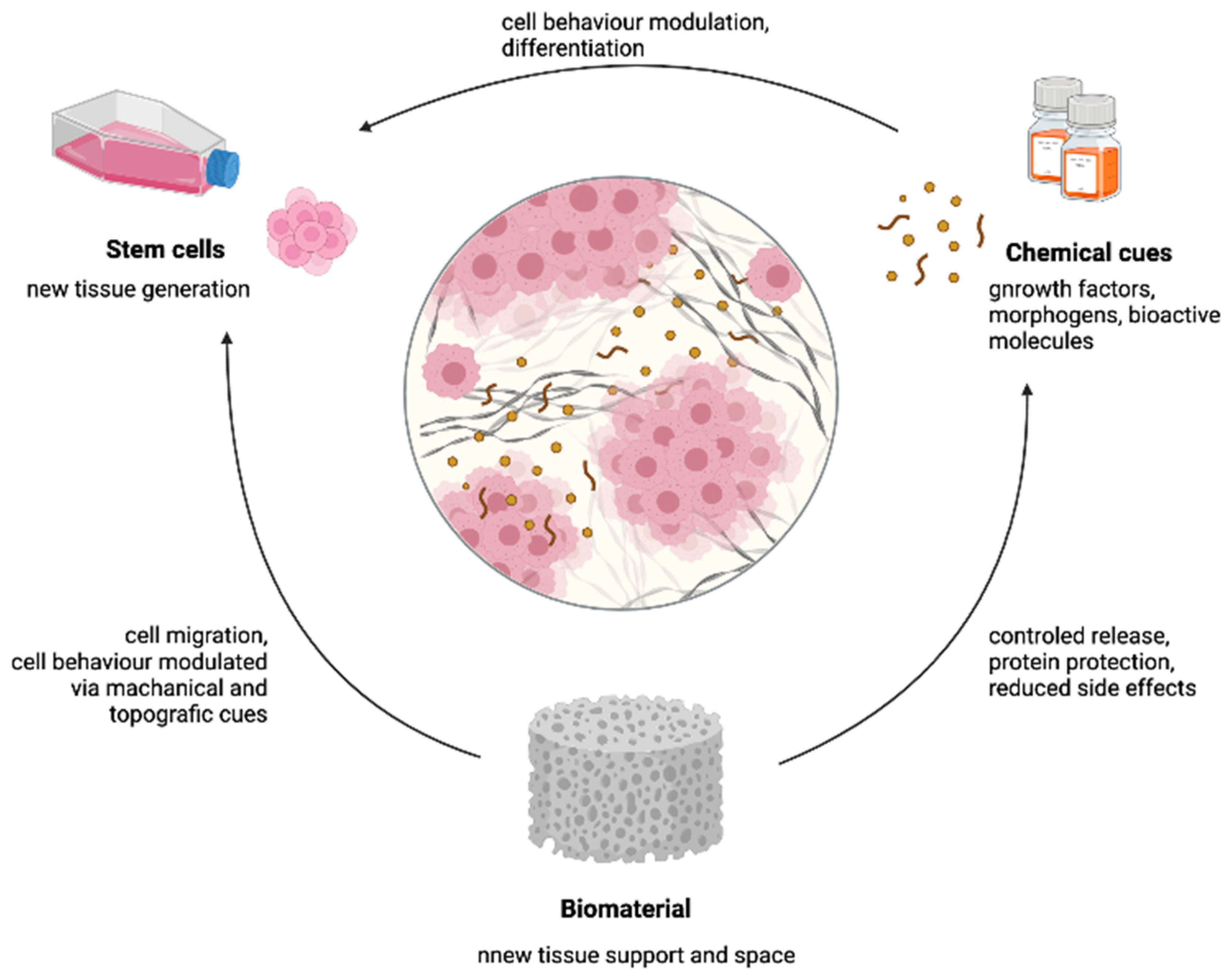 Ijms 22 12657 g012 550