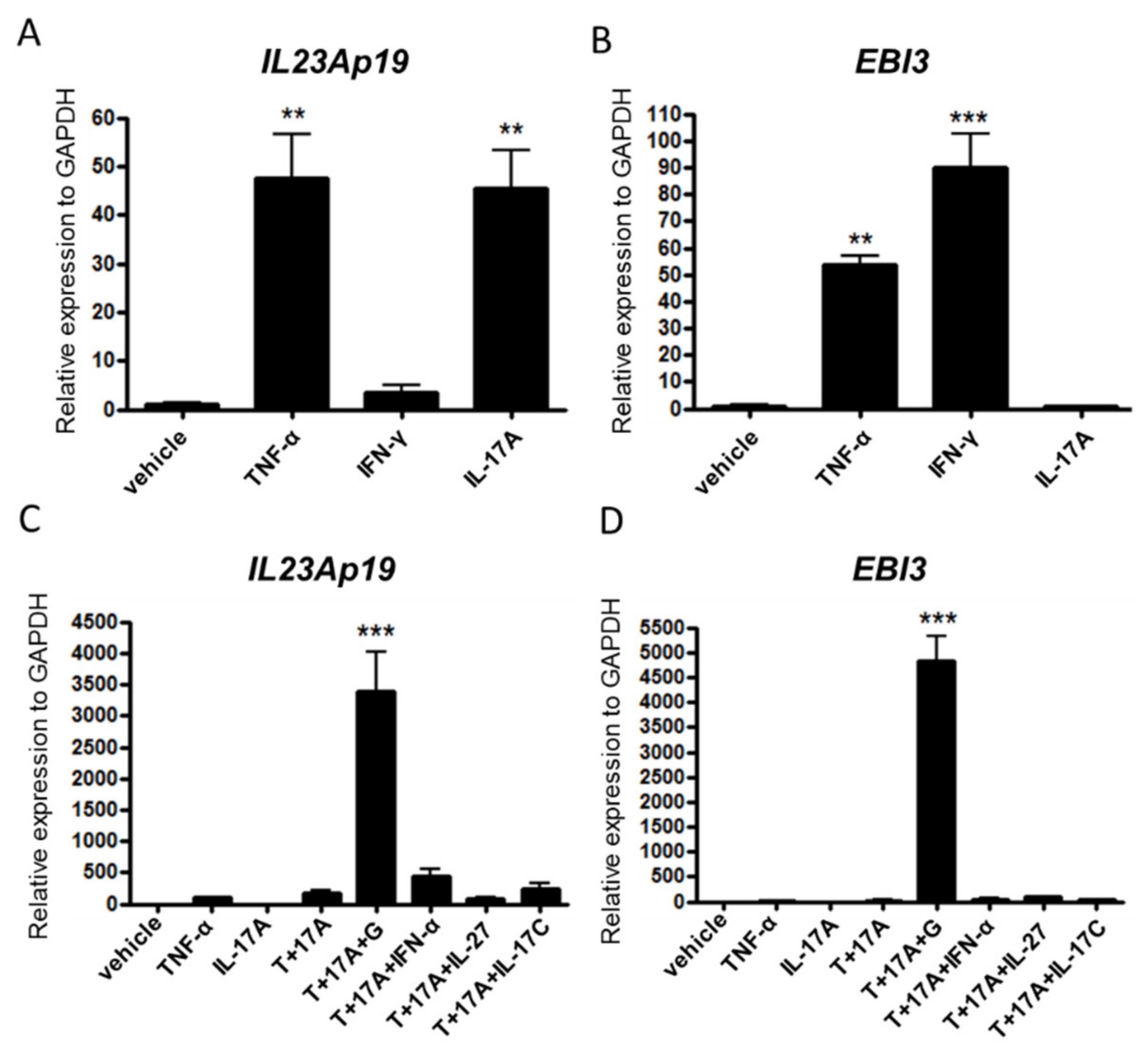 | Free Full-Text Multifaceted of IL-23A- and/or EBI3-Including Cytokines Produced by Psoriatic Keratinocytes | HTML