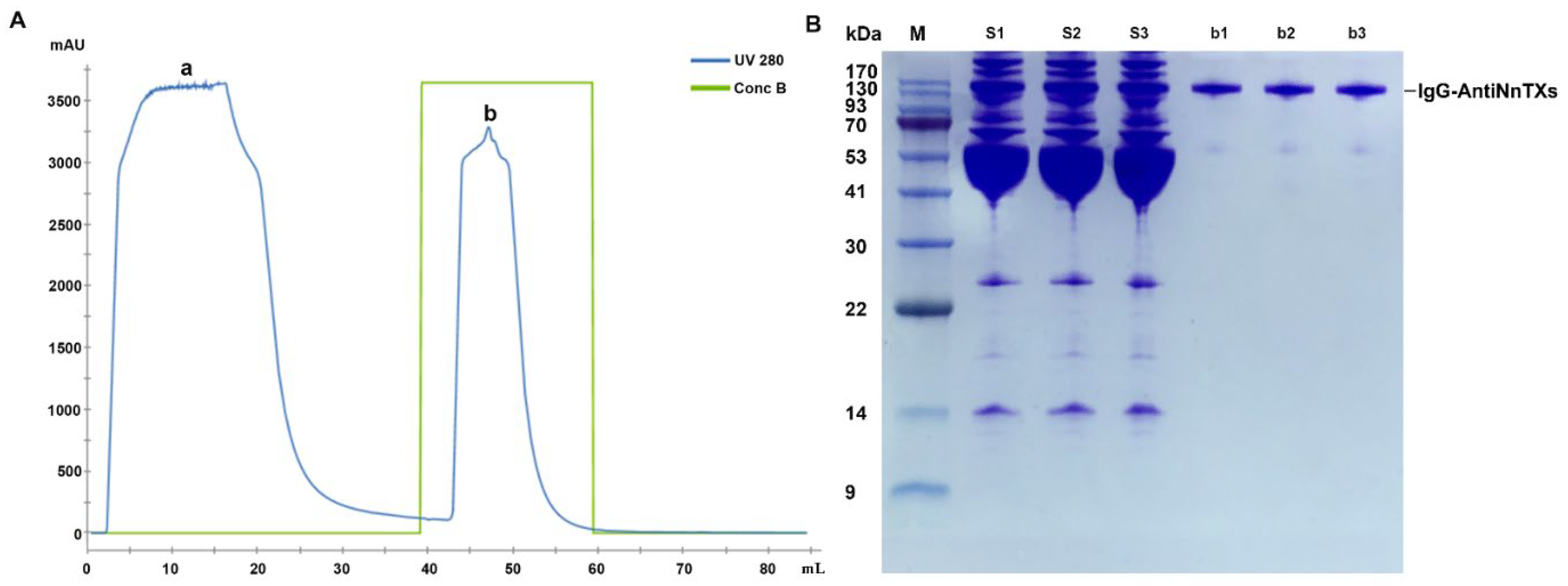 Ijms 22 12672 g002 550