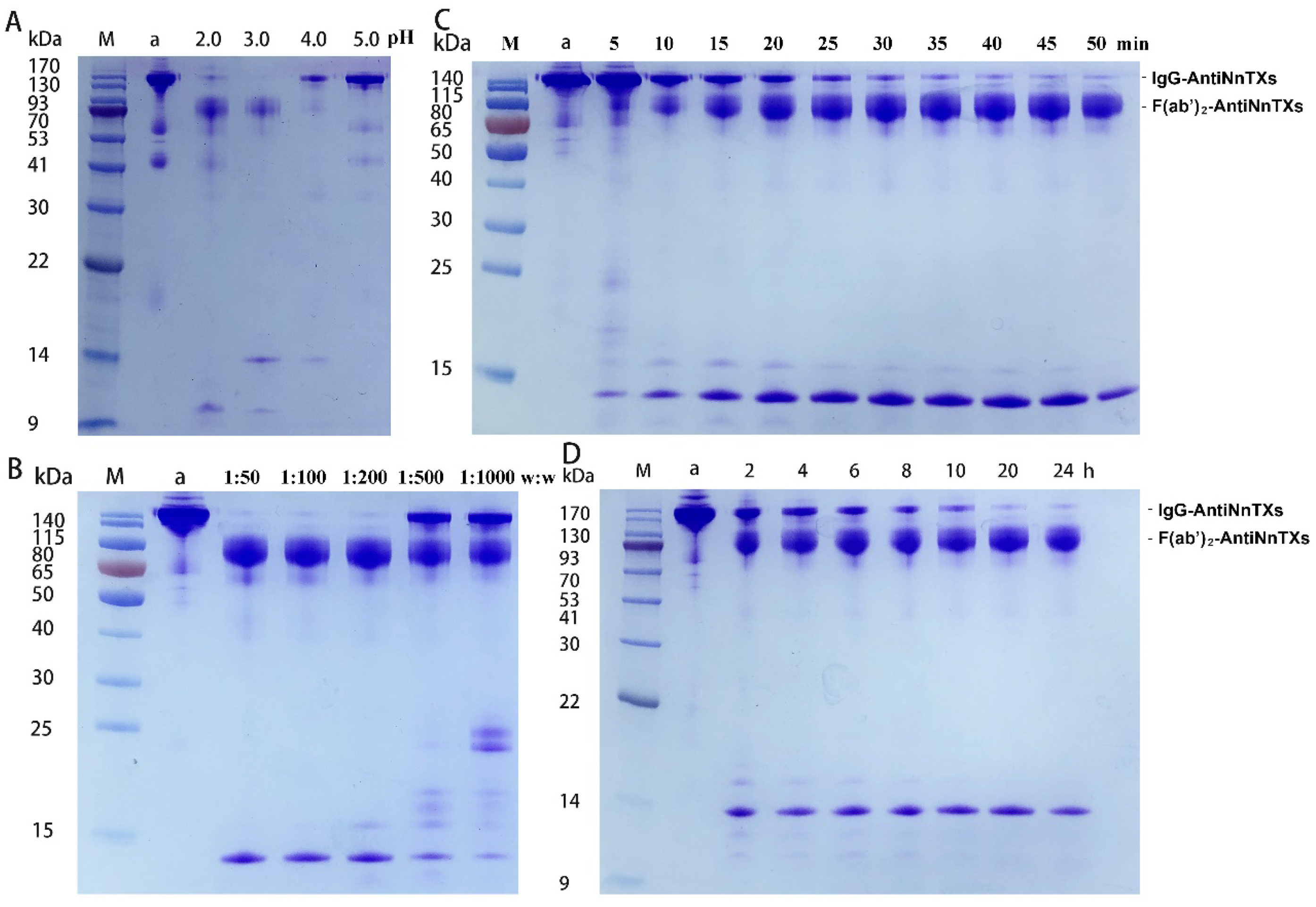 Ijms 22 12672 g003 550